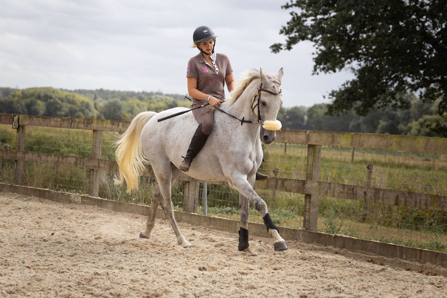 Equine photography bareback portrait