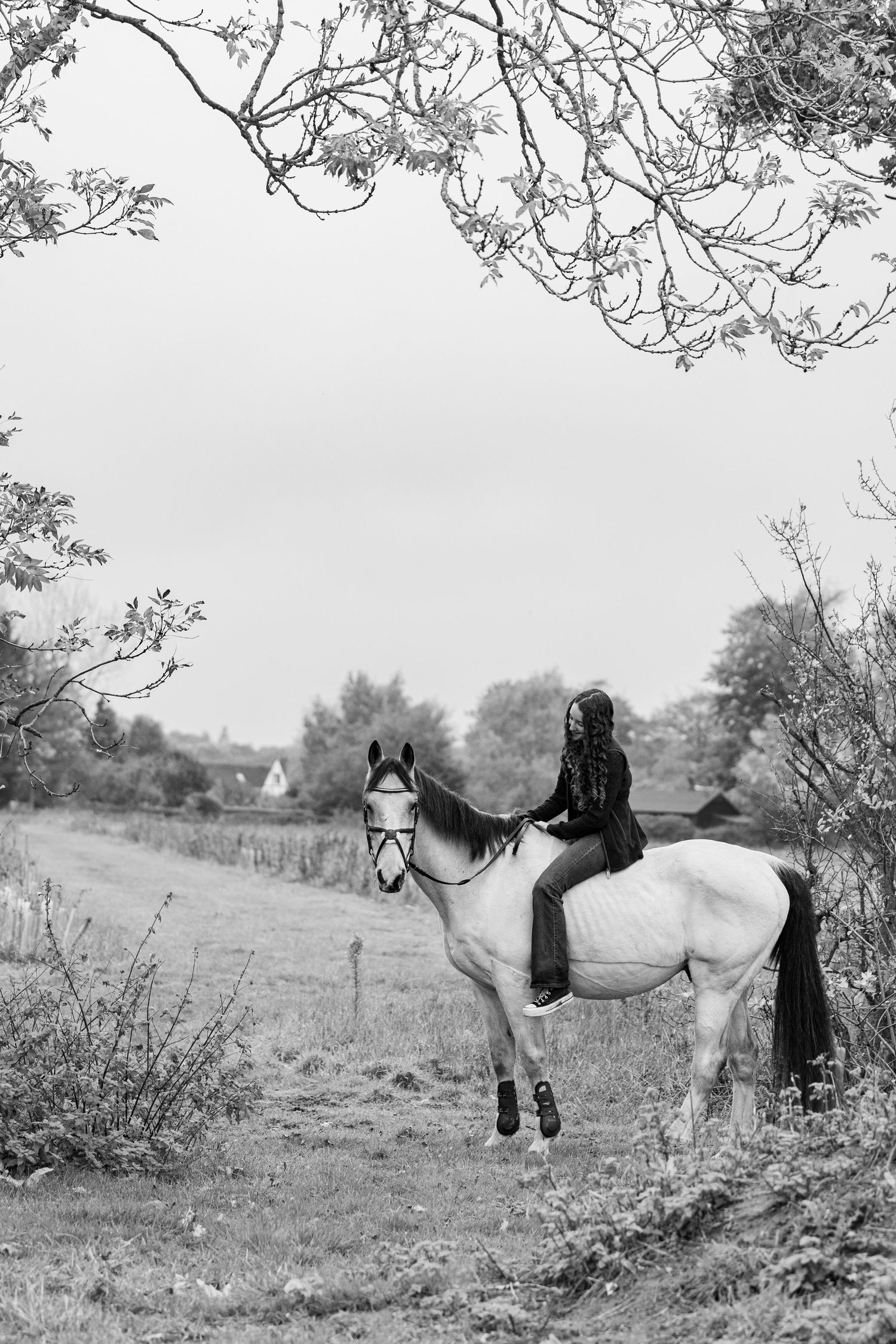 equine portrait ruturnbullphotography
