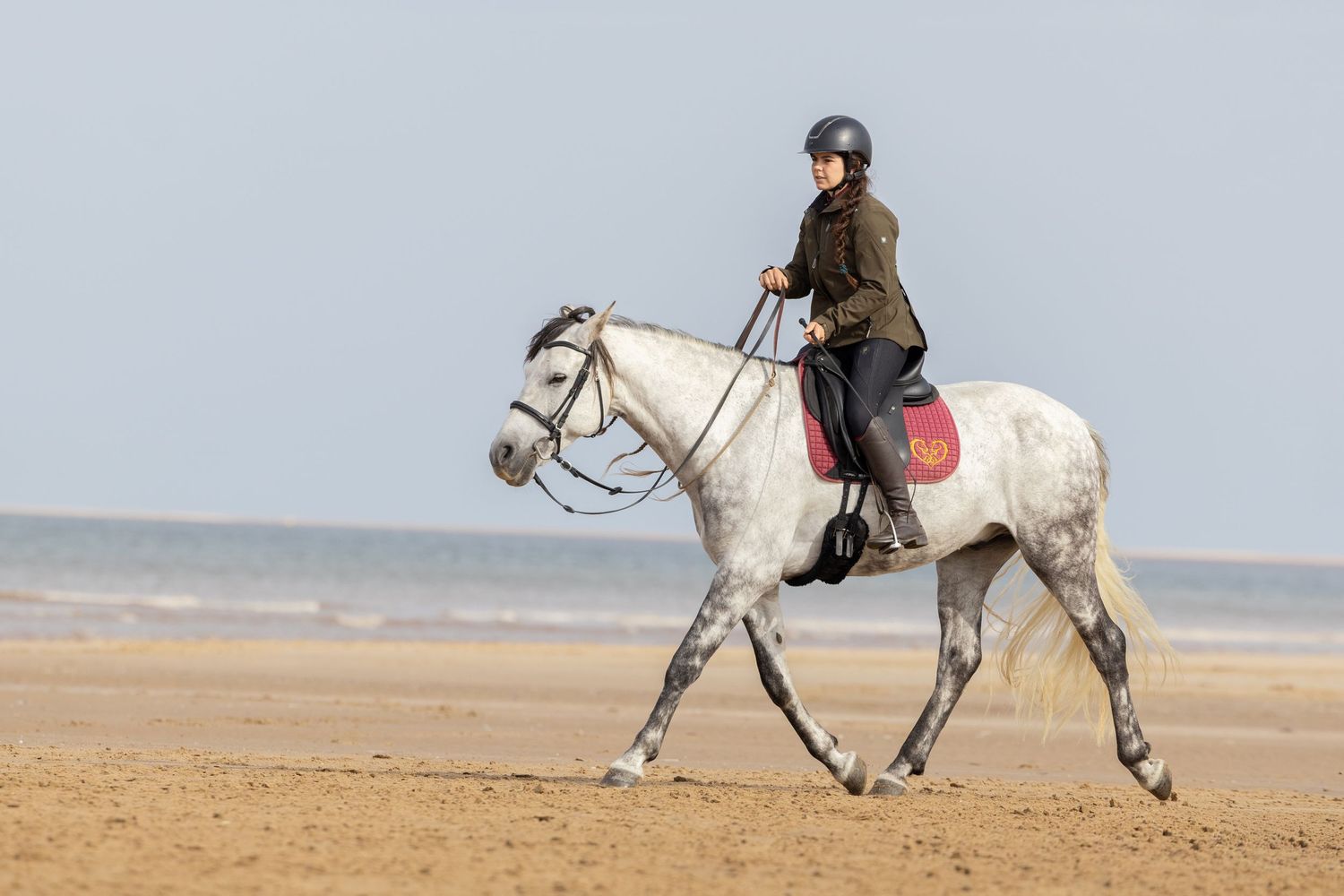 Equine photography norfolk beach riding thea equestrian