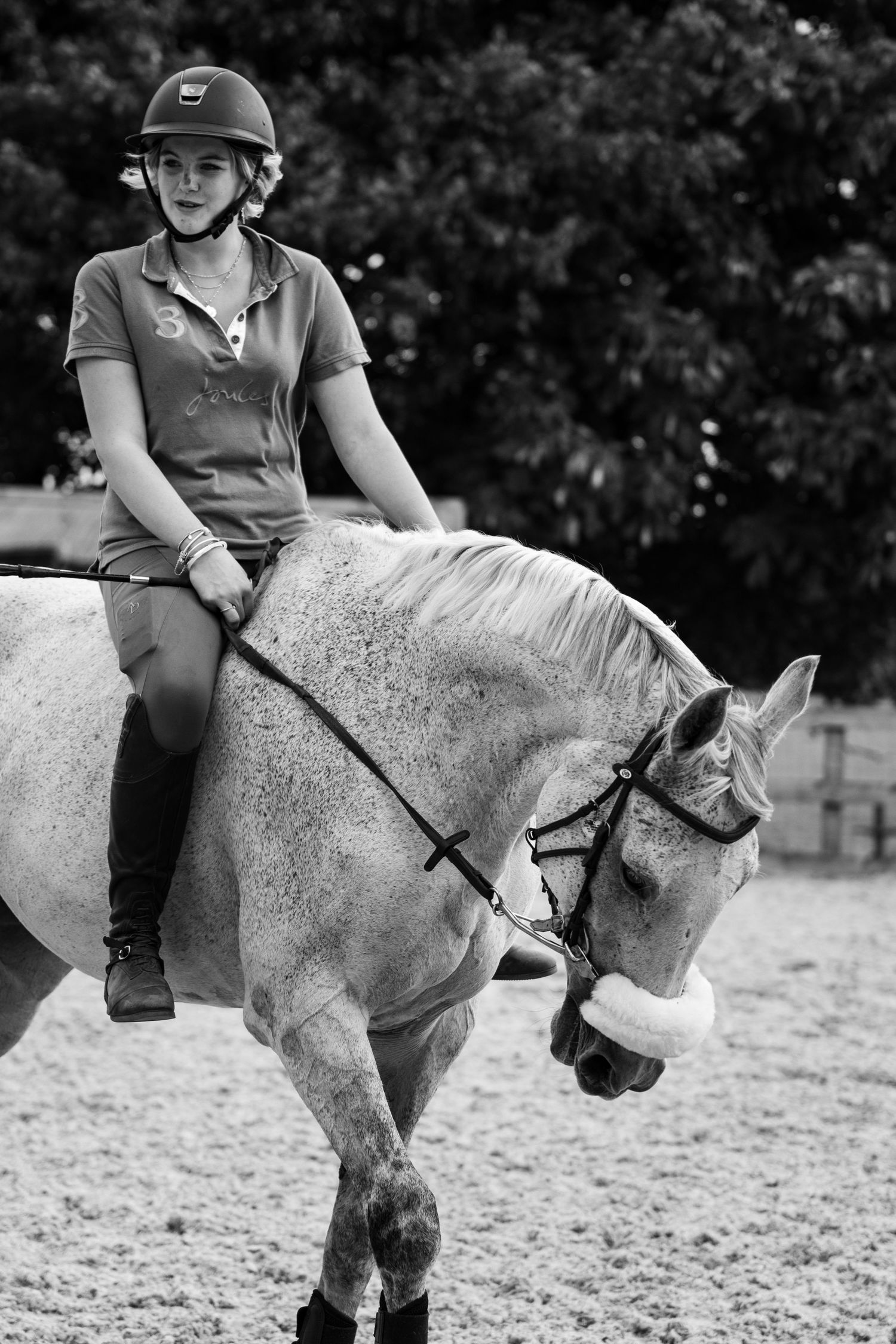 Equine photography dressage
