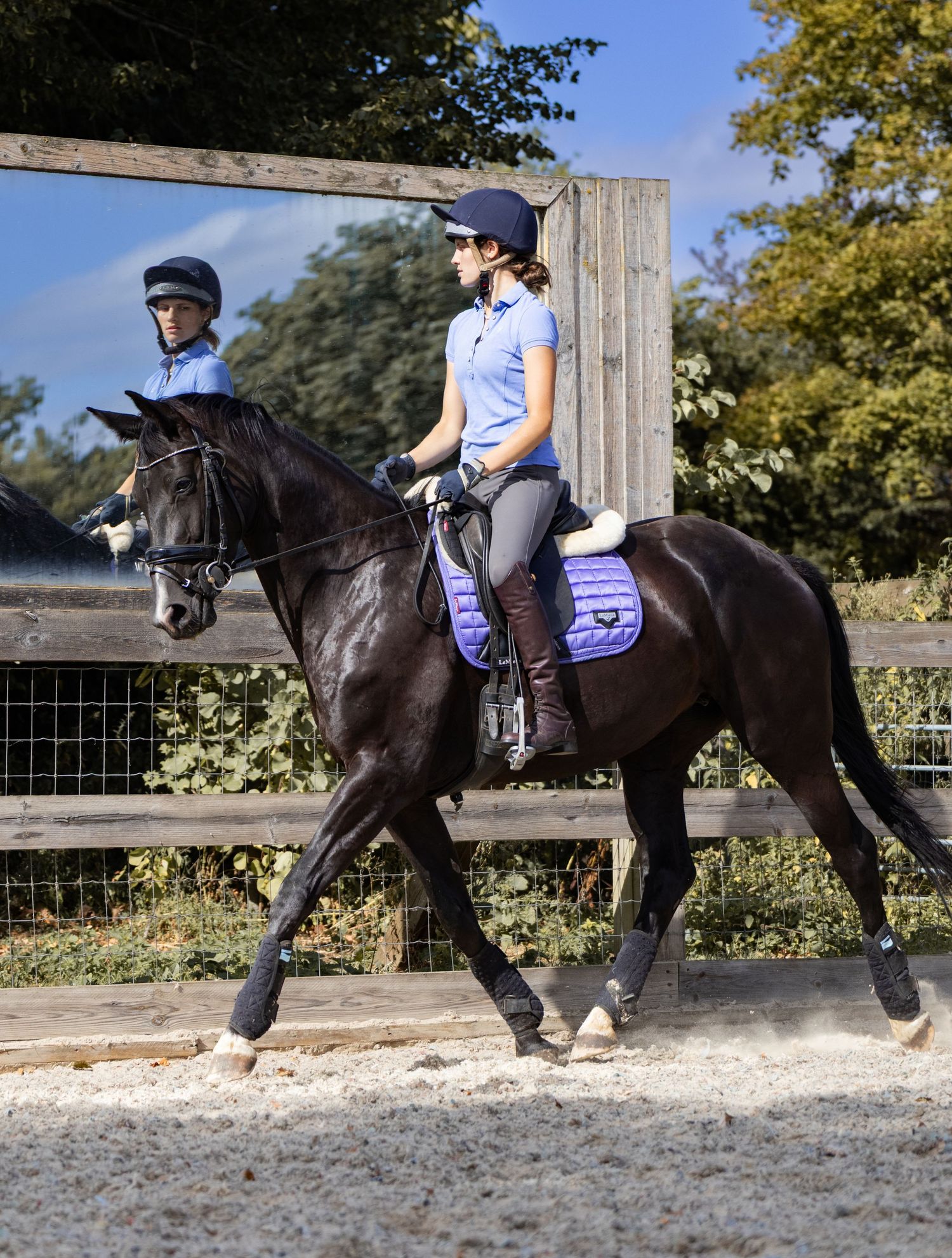 Equine photography dressage norfolk