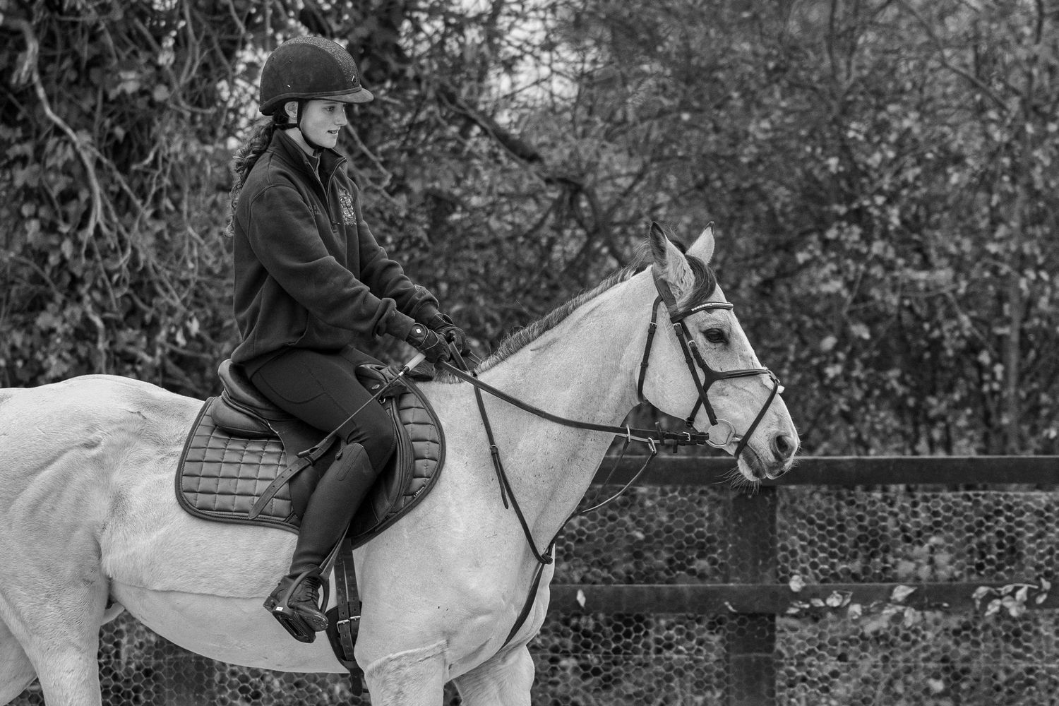 Equine photography showjumping ruturnbullphotography