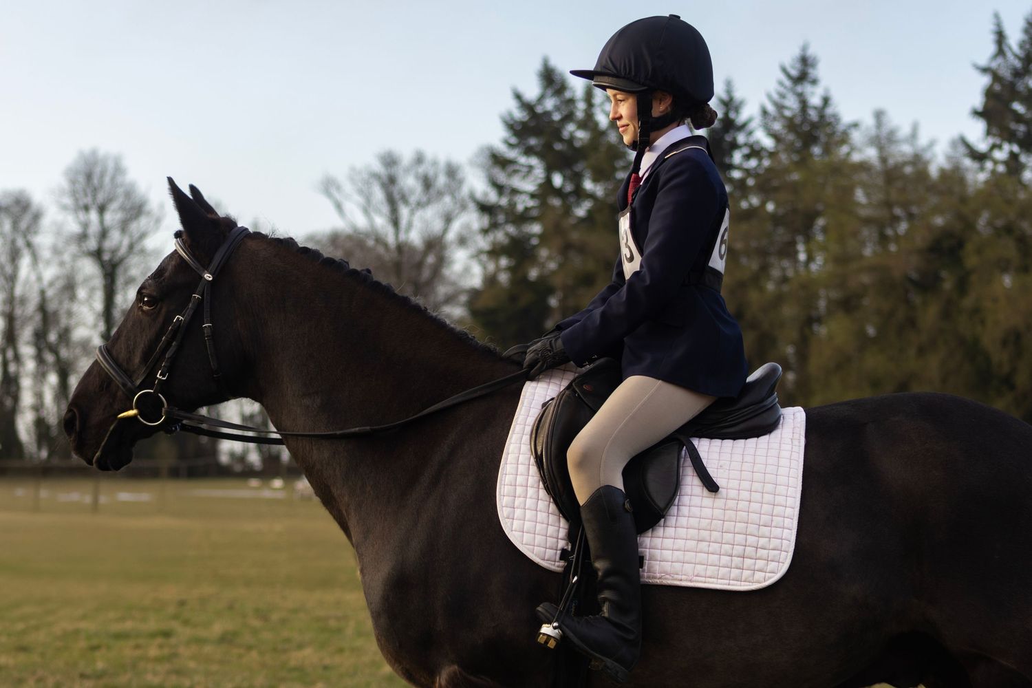 equine photography competition