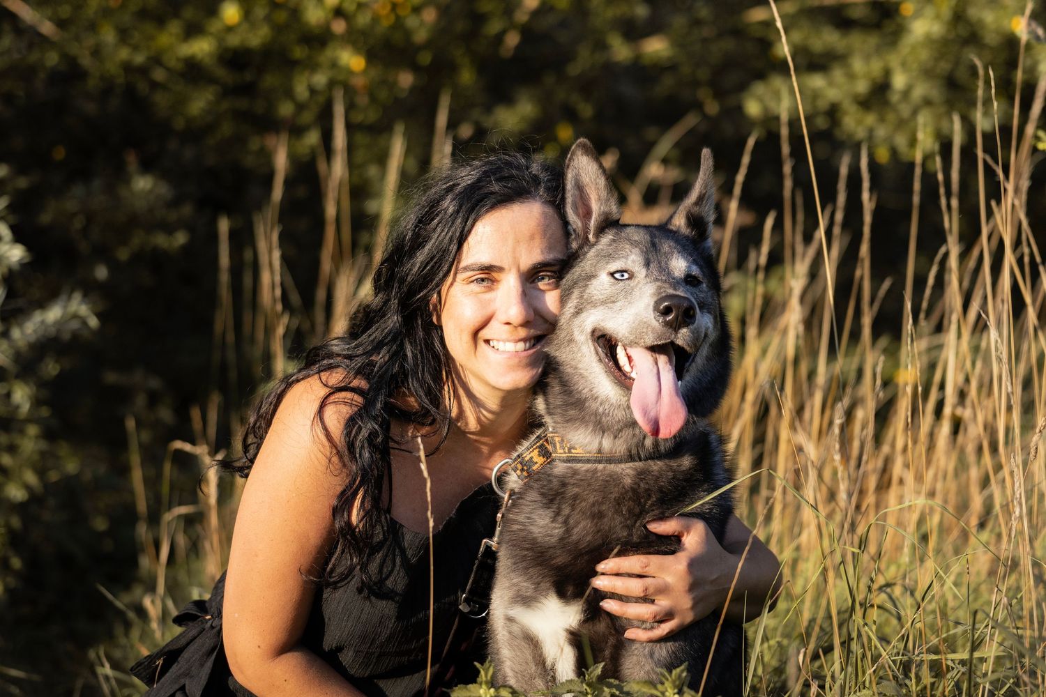 canine photography