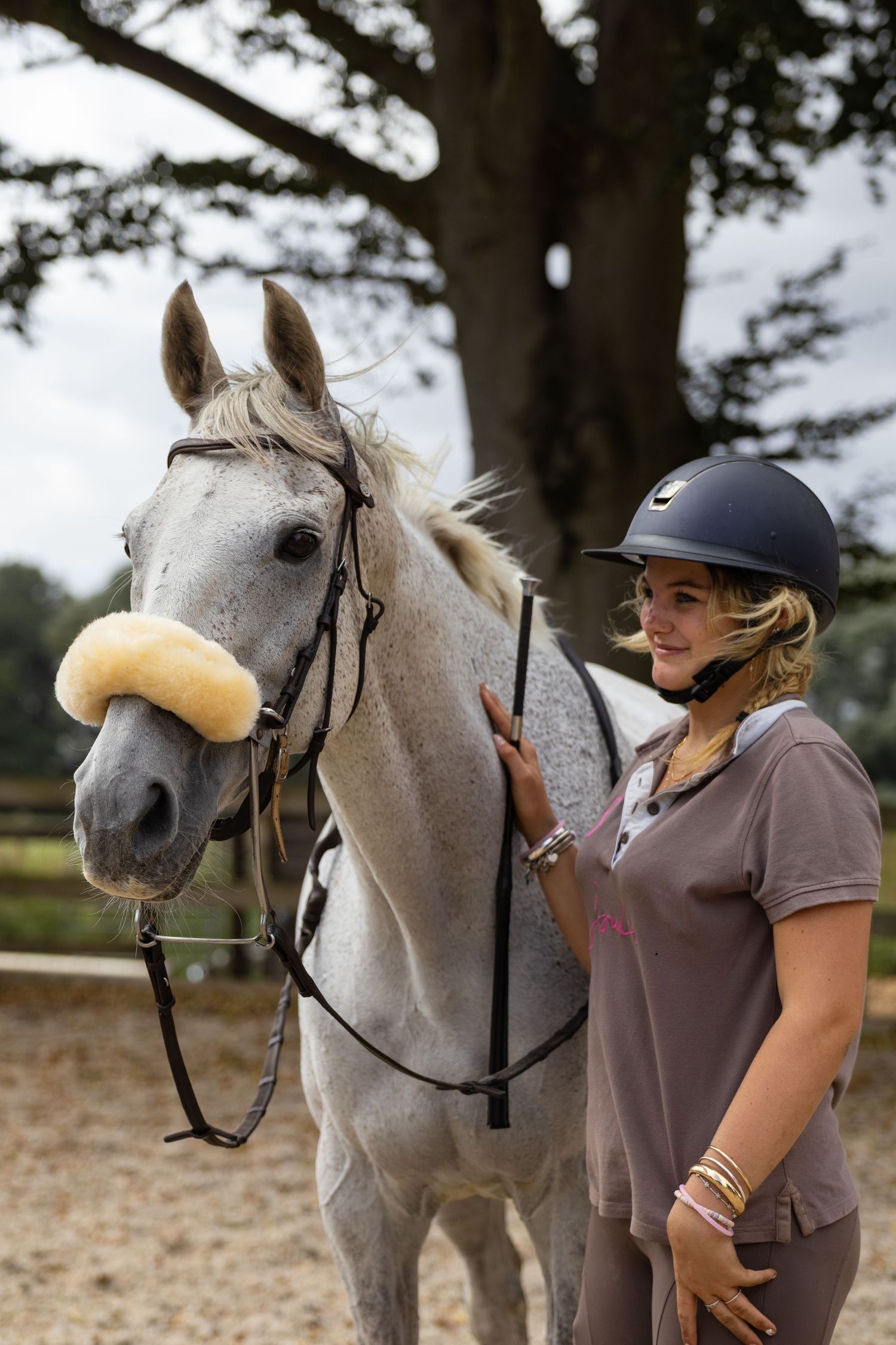 Equine photography portraits