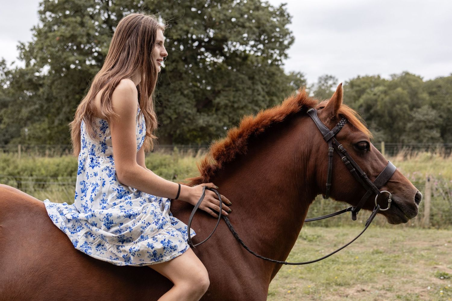 Equine photography dressage norfolk