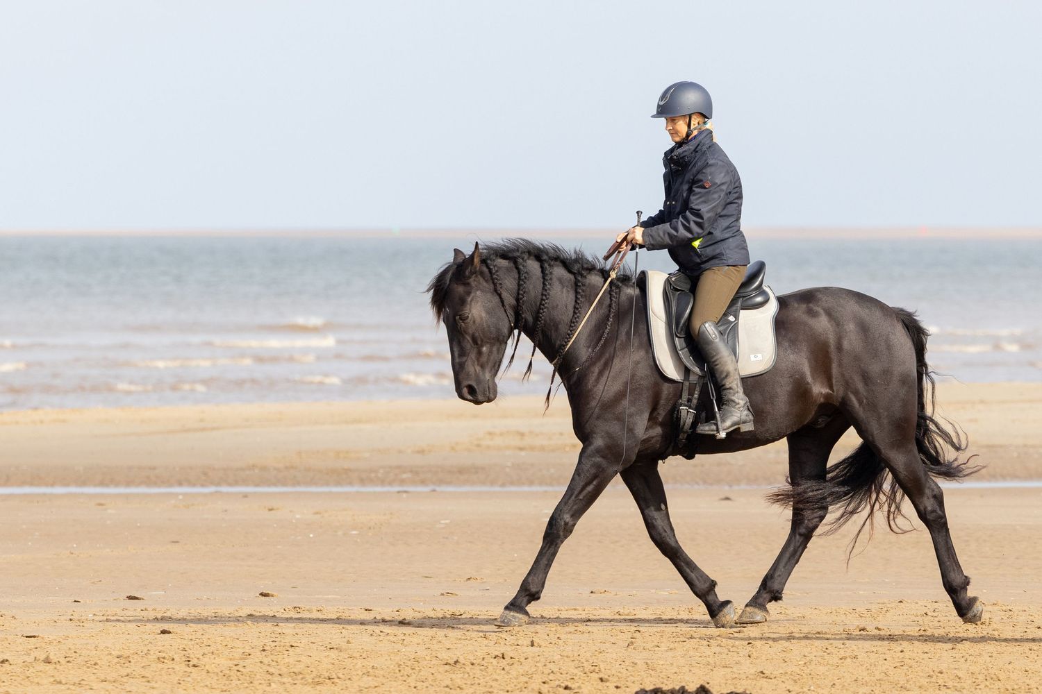Equine photography norfolk beach riding