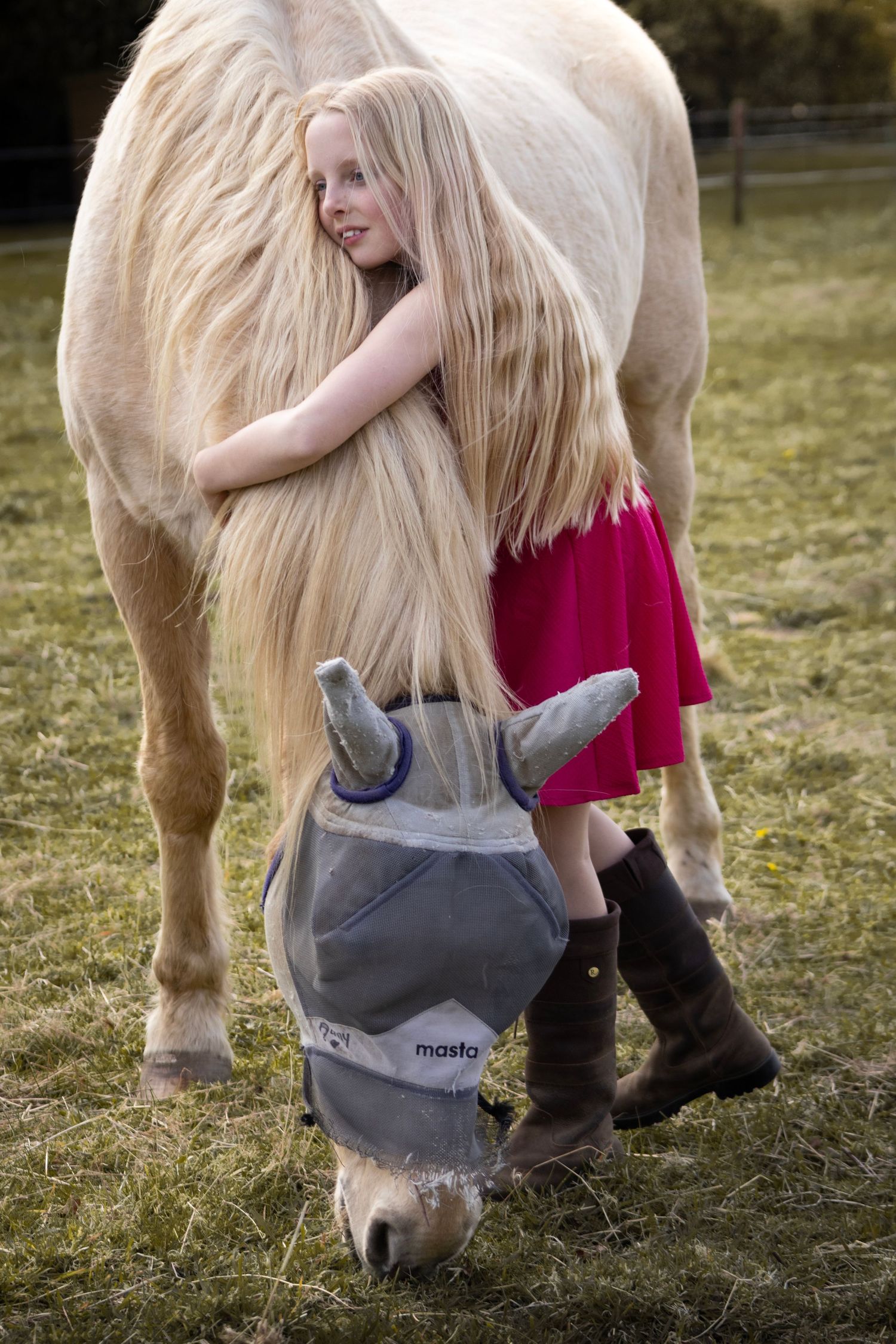equine photography norfolk