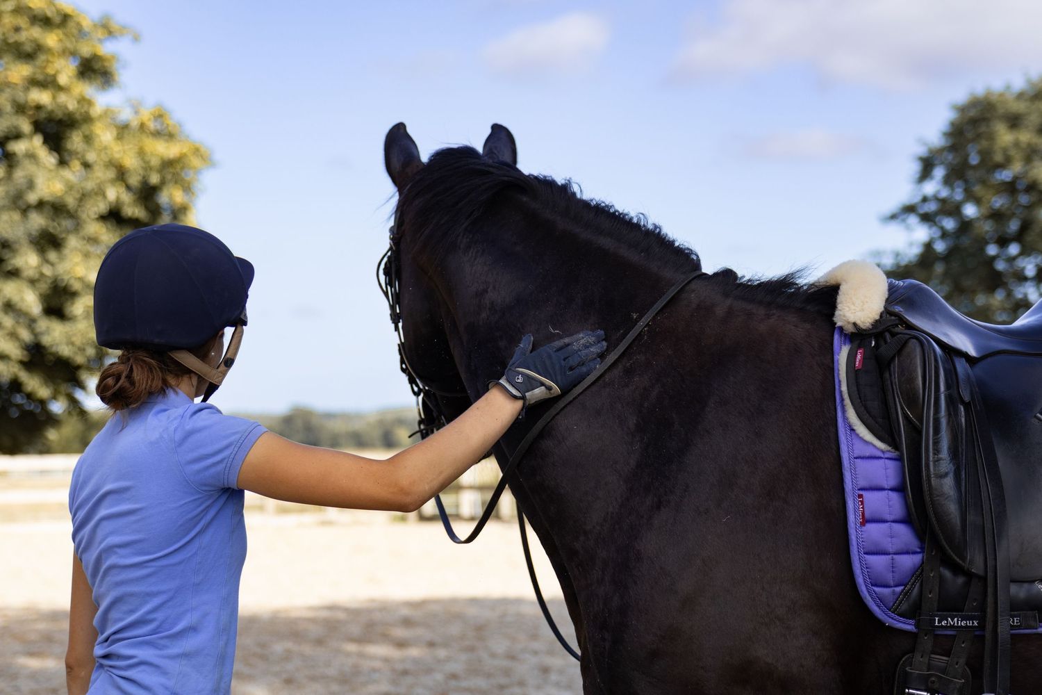 equine photography norfolk ruturnbullphotography