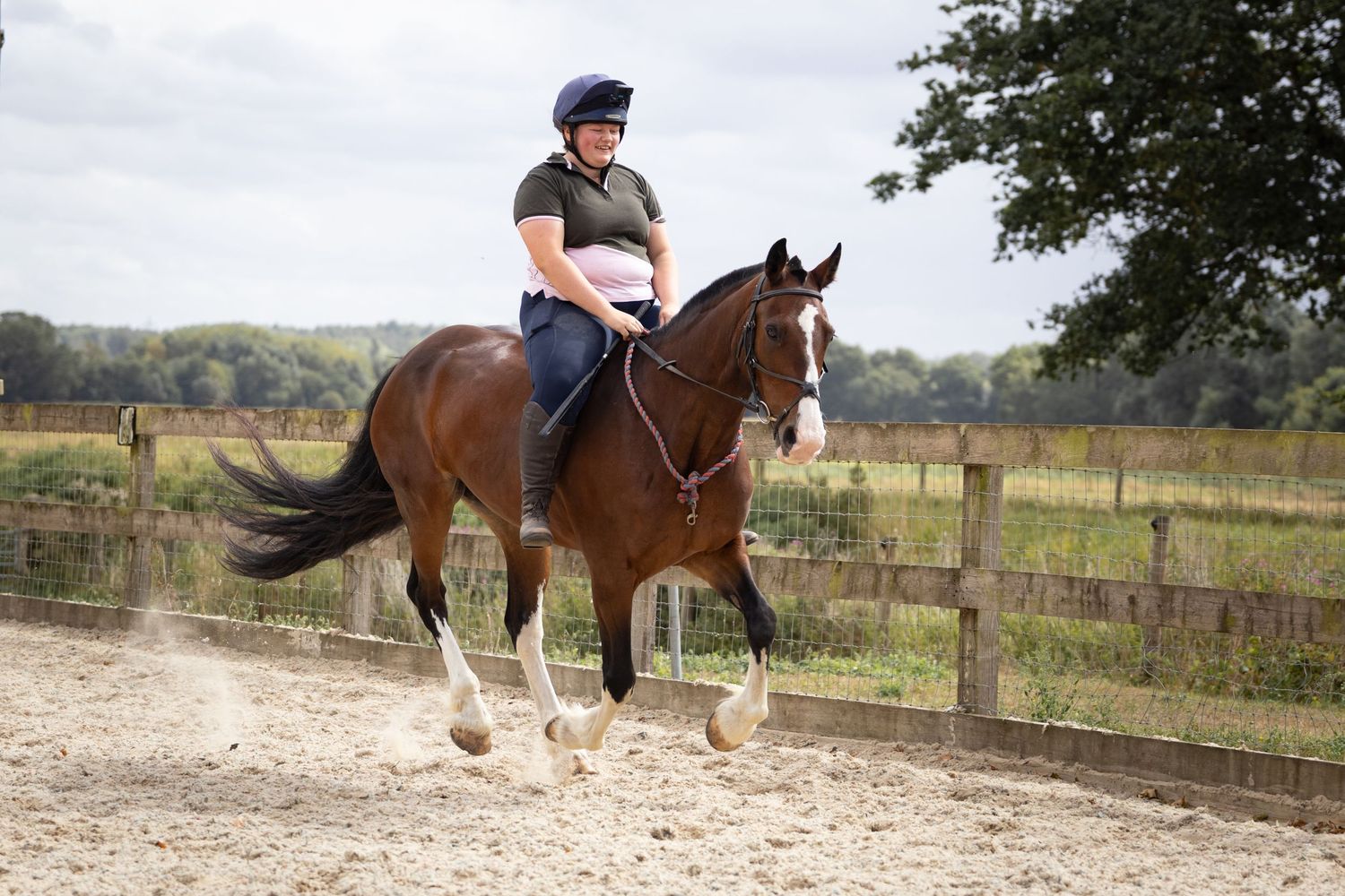 Equine photography dressage
