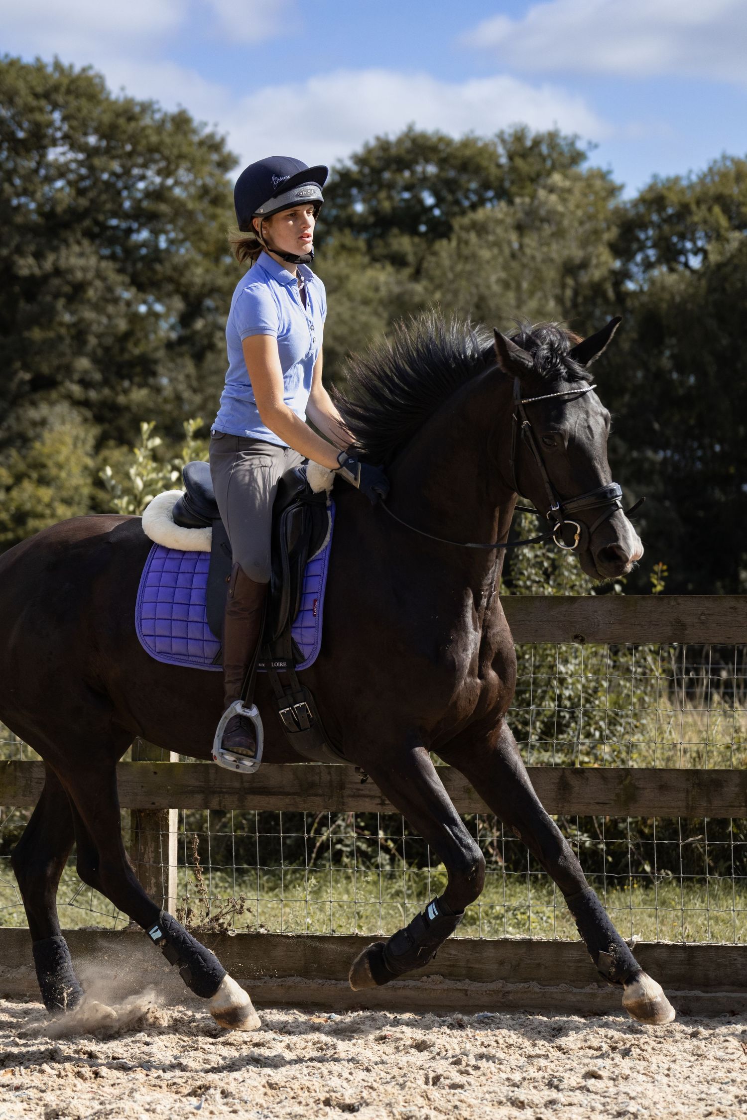 Equine photography dressage norfolk