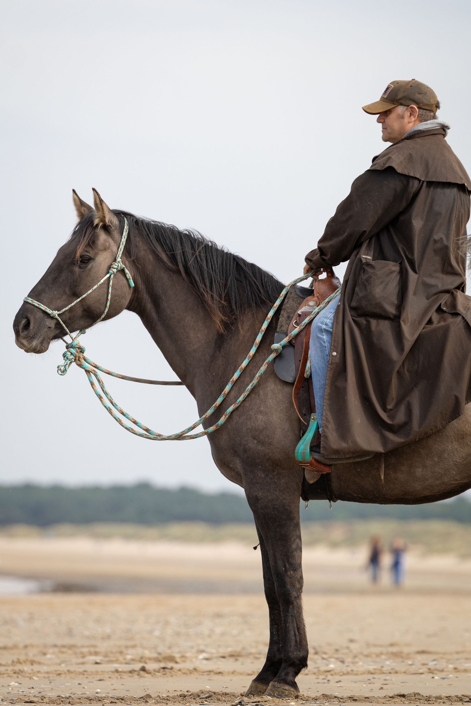 Equine photography norfolk beach riding