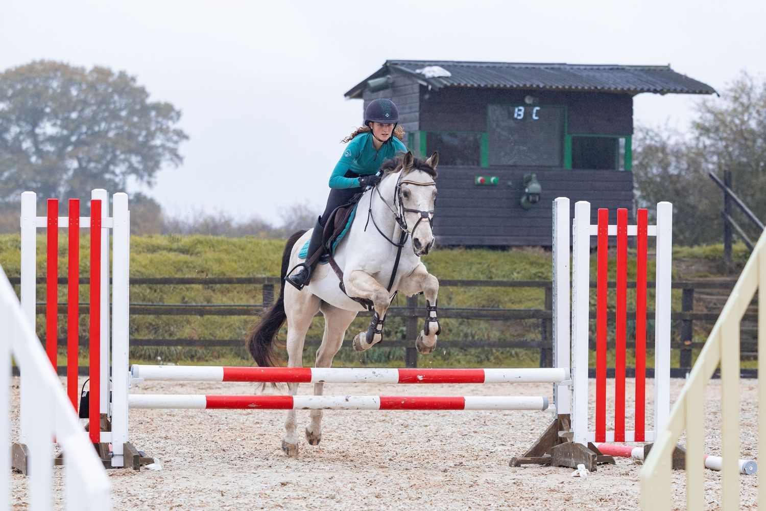 Equine photography showjumping