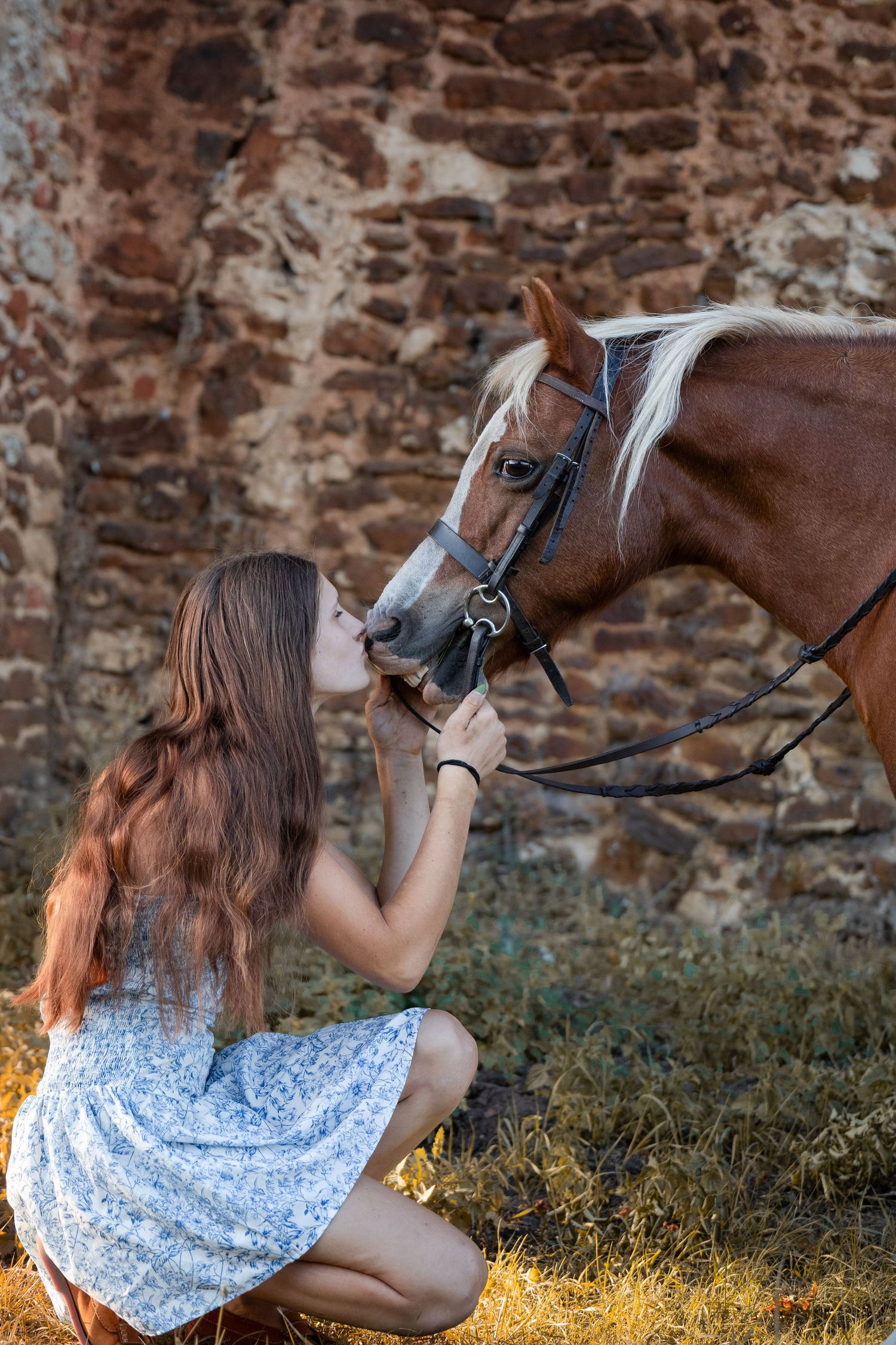 Equine photography woodland photos grace carter