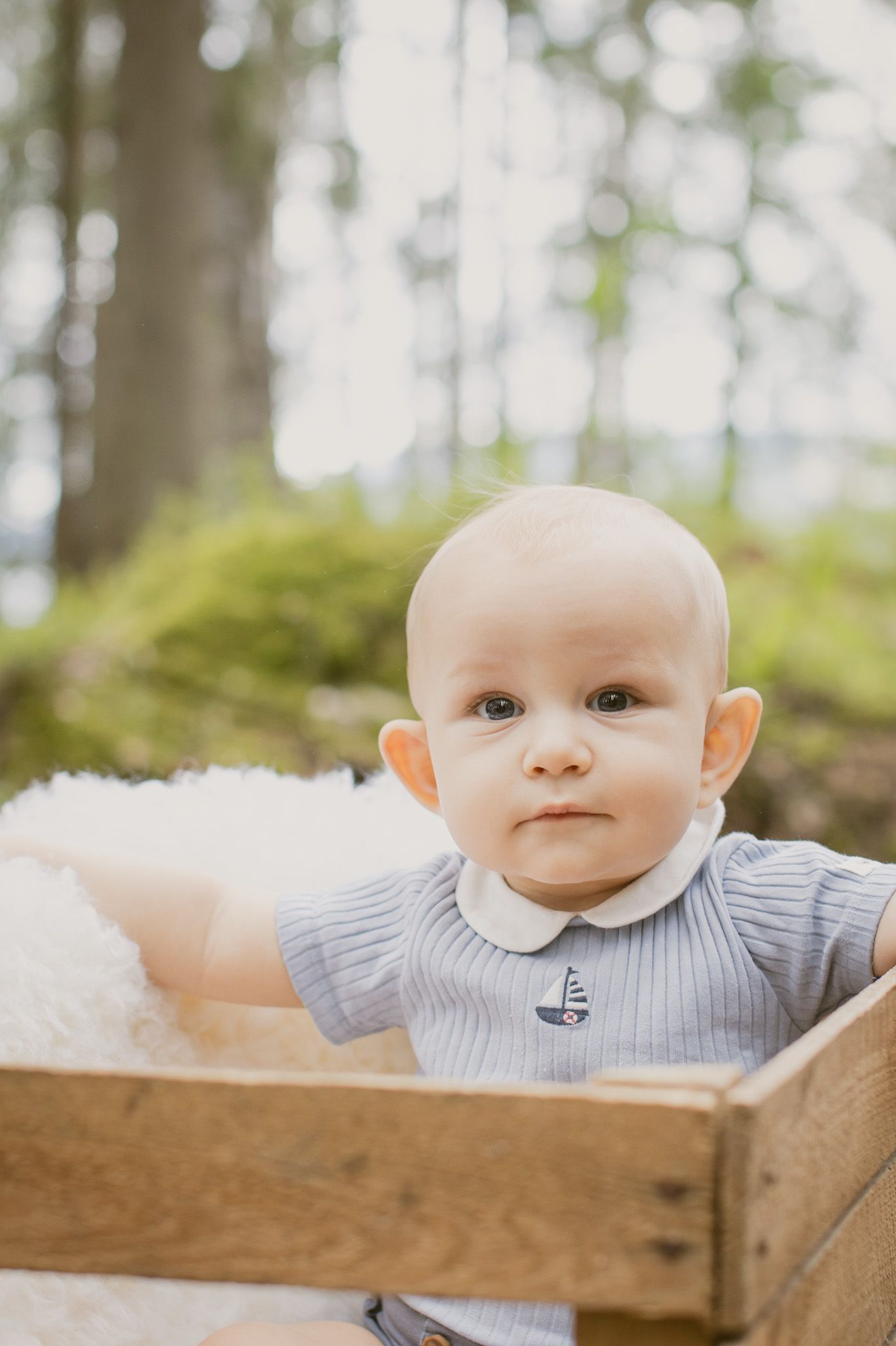 Baby i lyseblå body sittende i en trekasse omgitt av natur.