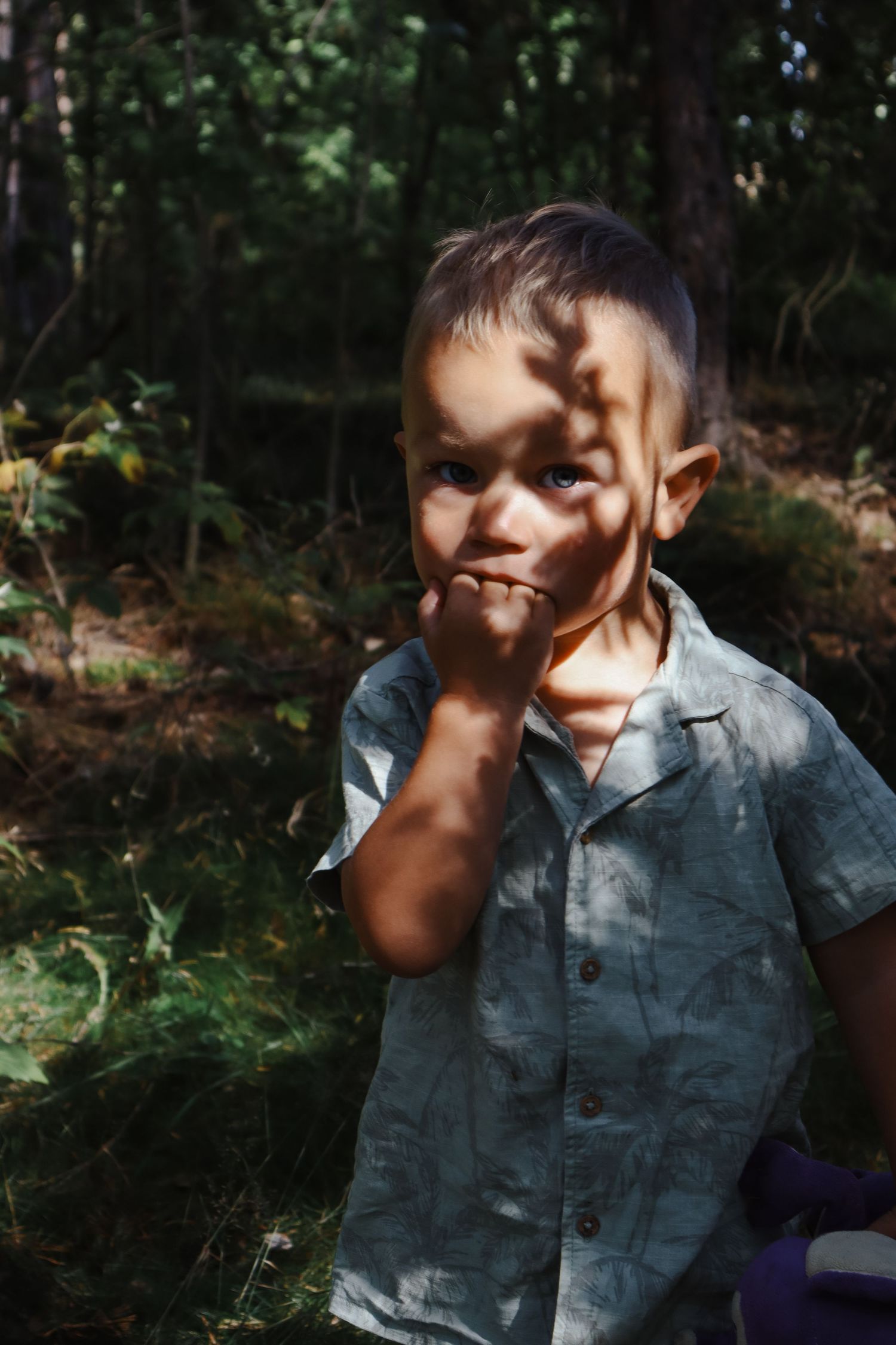 Gutt i grå-blå skjorte fotografert i en solfylt skog.