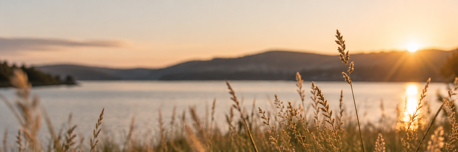 Golden sunset over a tranquil lake with wild grass silhouettes and rolling hills in the background.