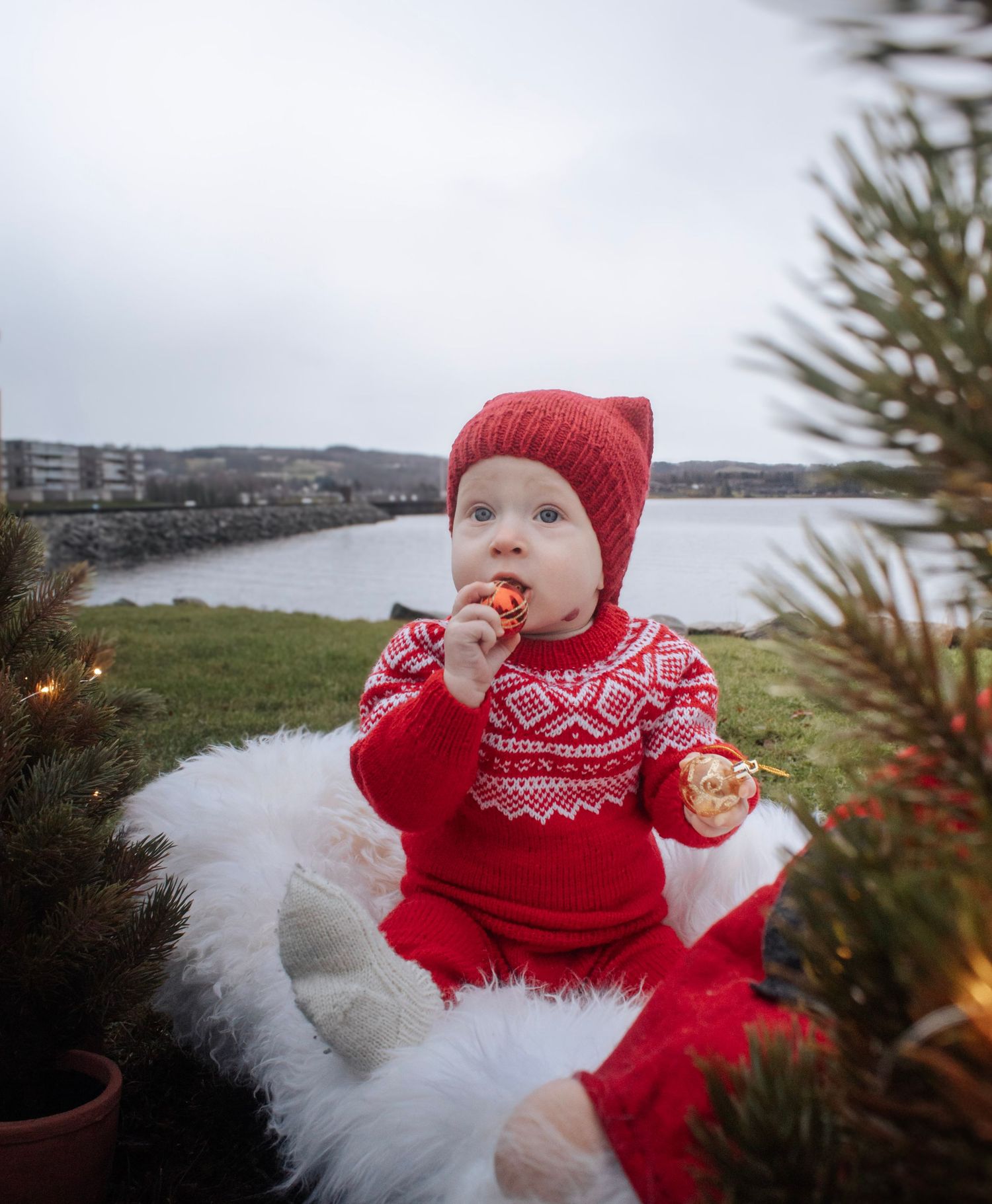Baby i rød strikkegenser og lue fotografert utendørs blant små juletrær ved vannet.