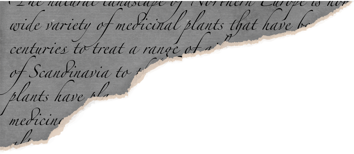 Torn piece of aged paper with faded handwritten text.