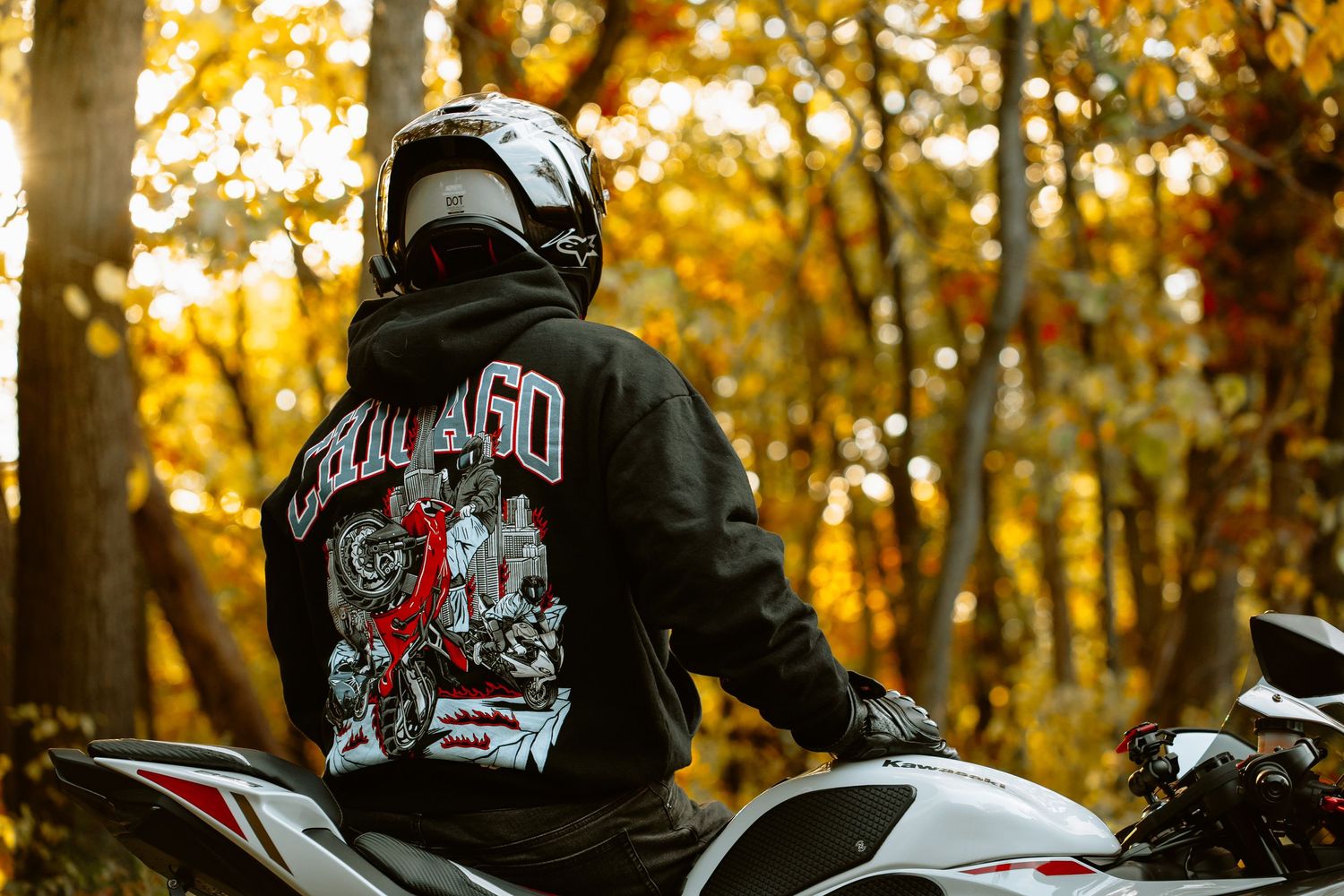 Motorcycles parked in autumn forest with golden leaves in background.