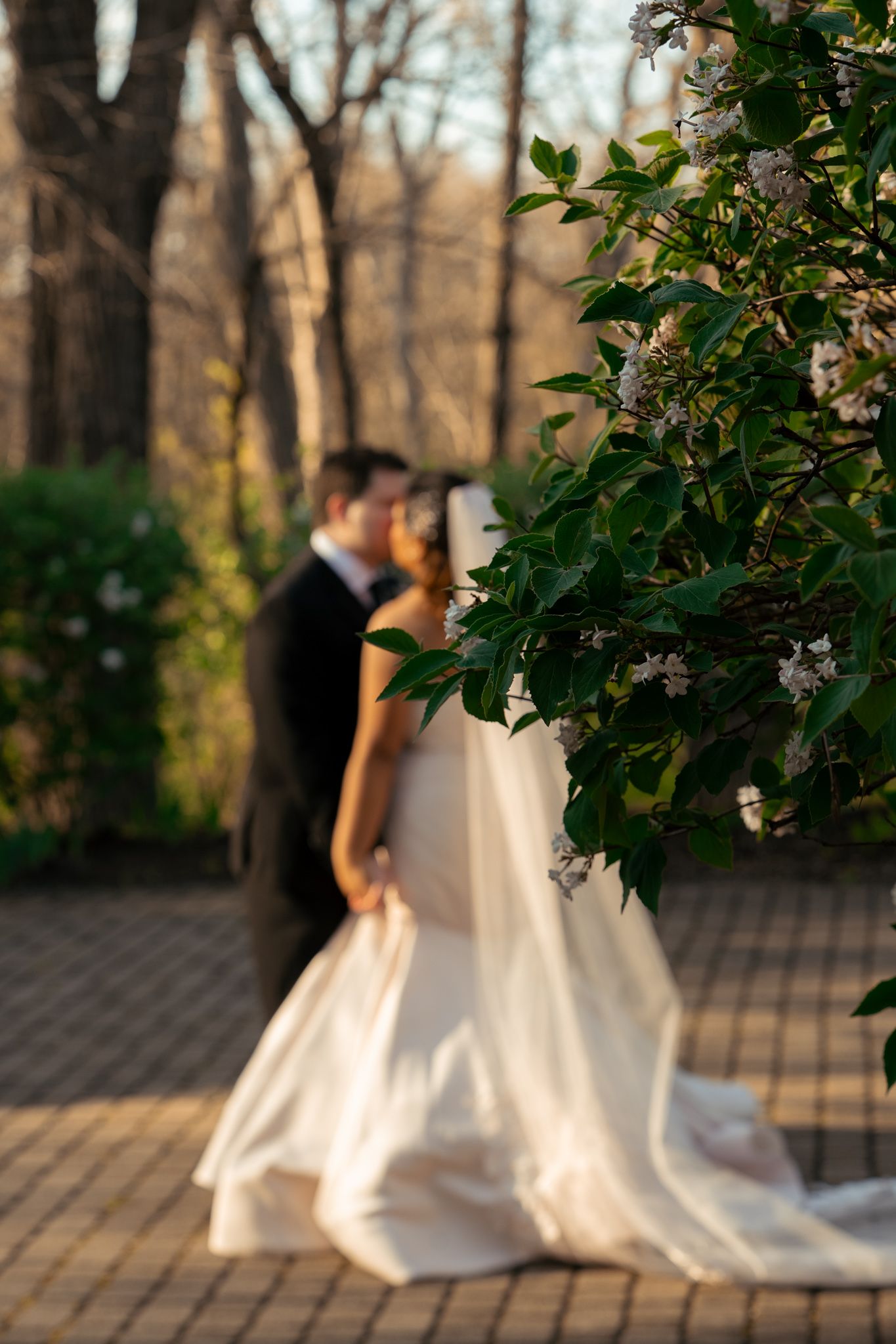 A bride and groom share a romantic kiss outdoors, framed by blooming white flowers and lush greenery at golden hour.