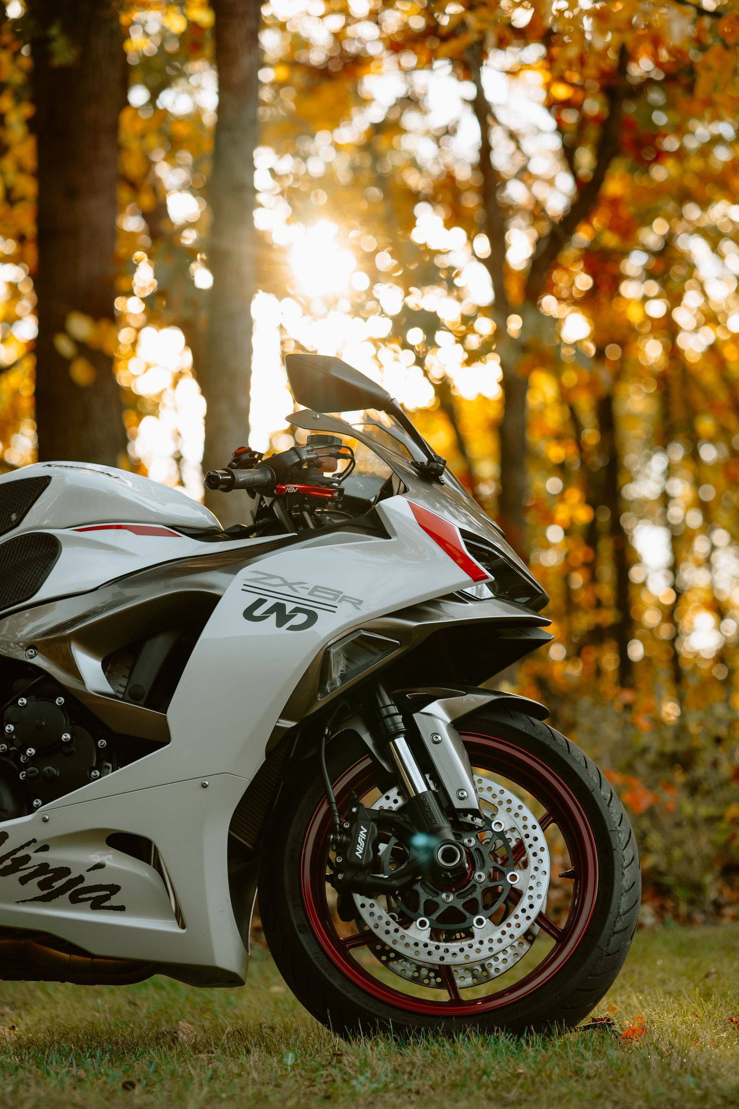 White sports motorcycle photographed in sections against autumn forest backdrop with golden bokeh lighting effect.