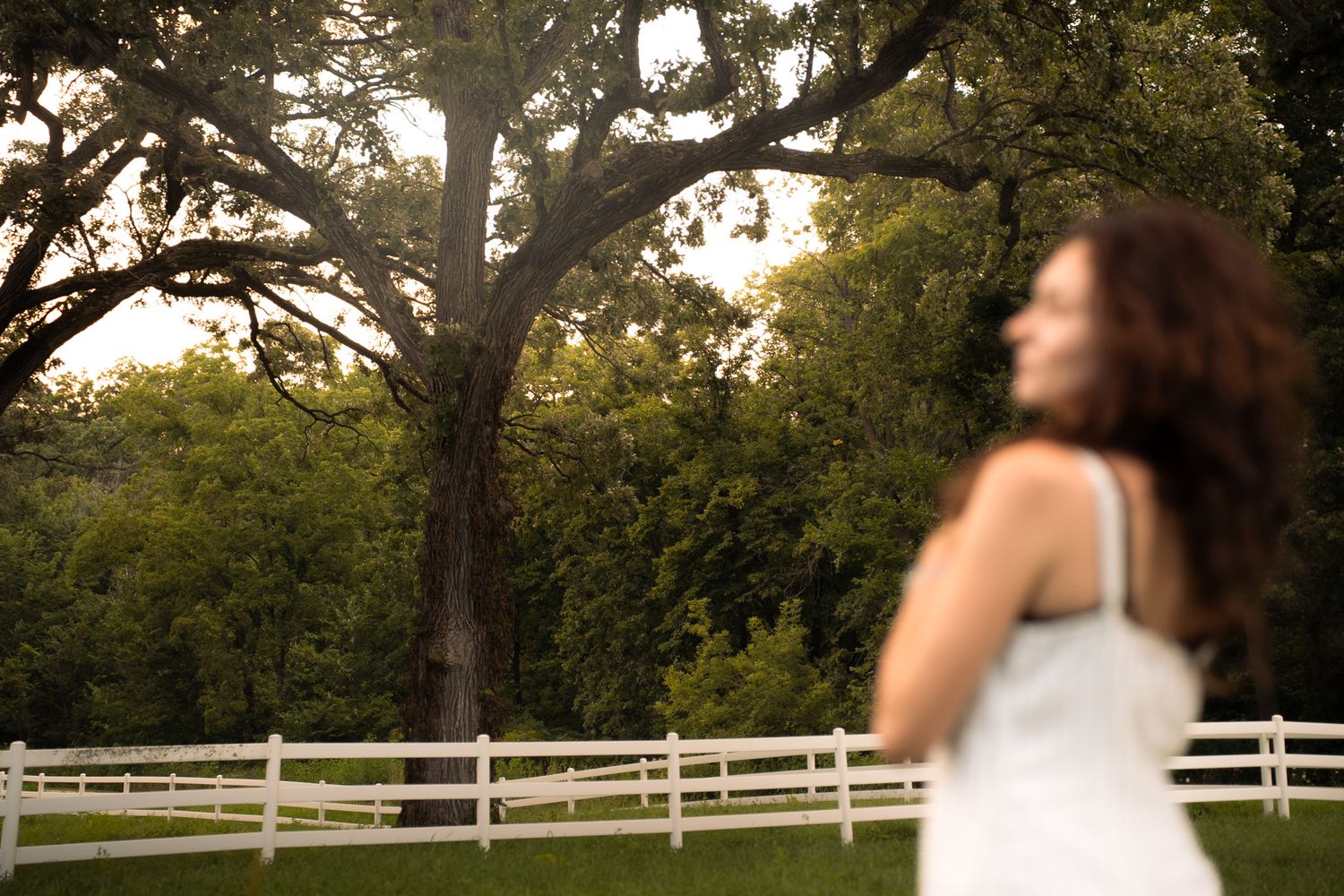 A scenic rural property with white fencing and mature trees at sunset.