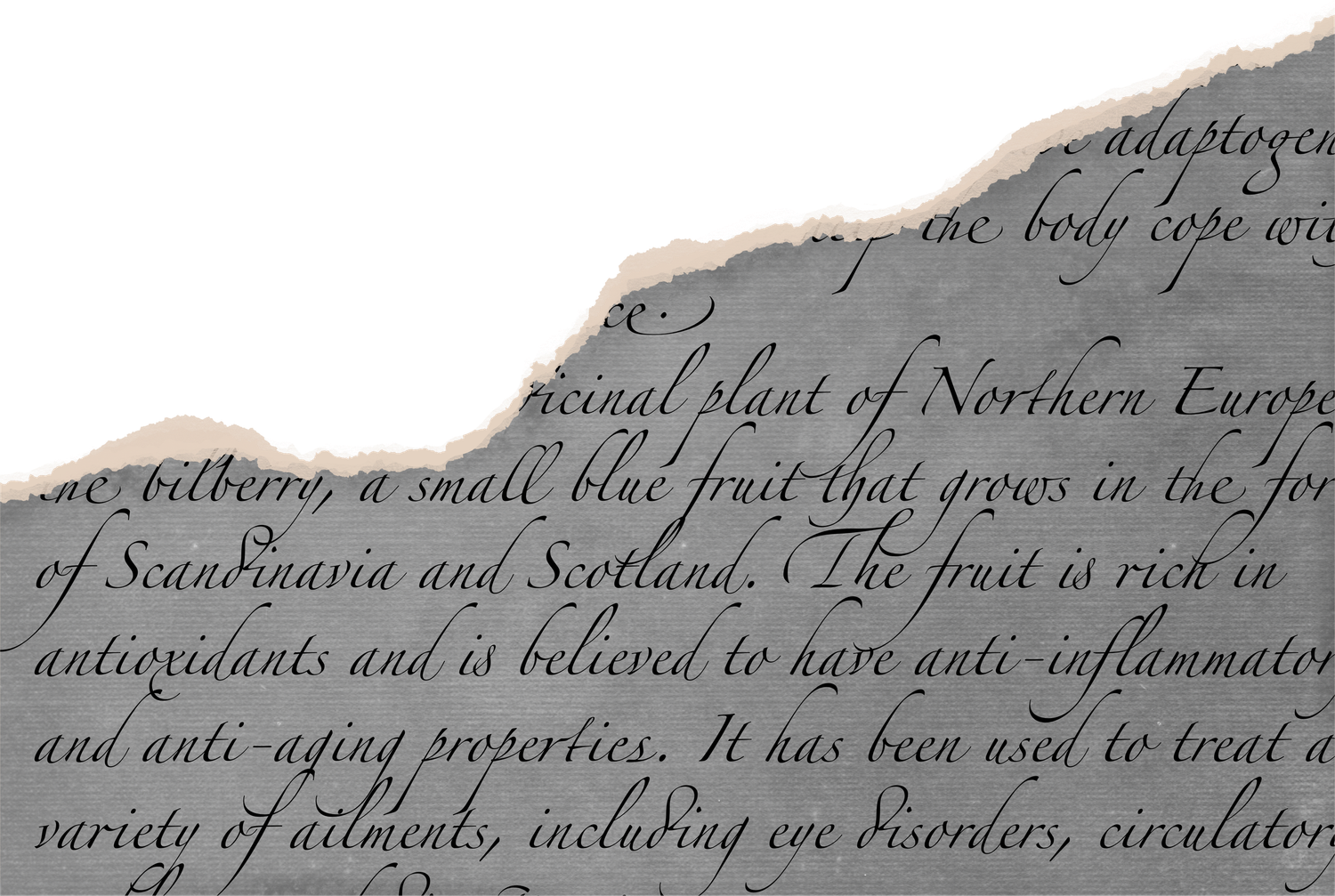 Weathered paper fragment showing vintage handwritten text.