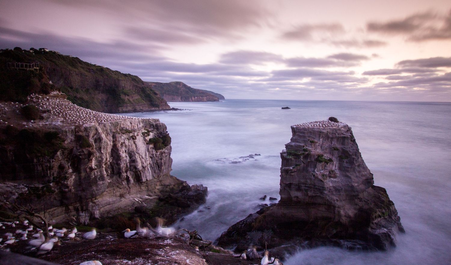 Rocky coastal cliffs and formations at sunset with dramatic purple sky and crashing waves.