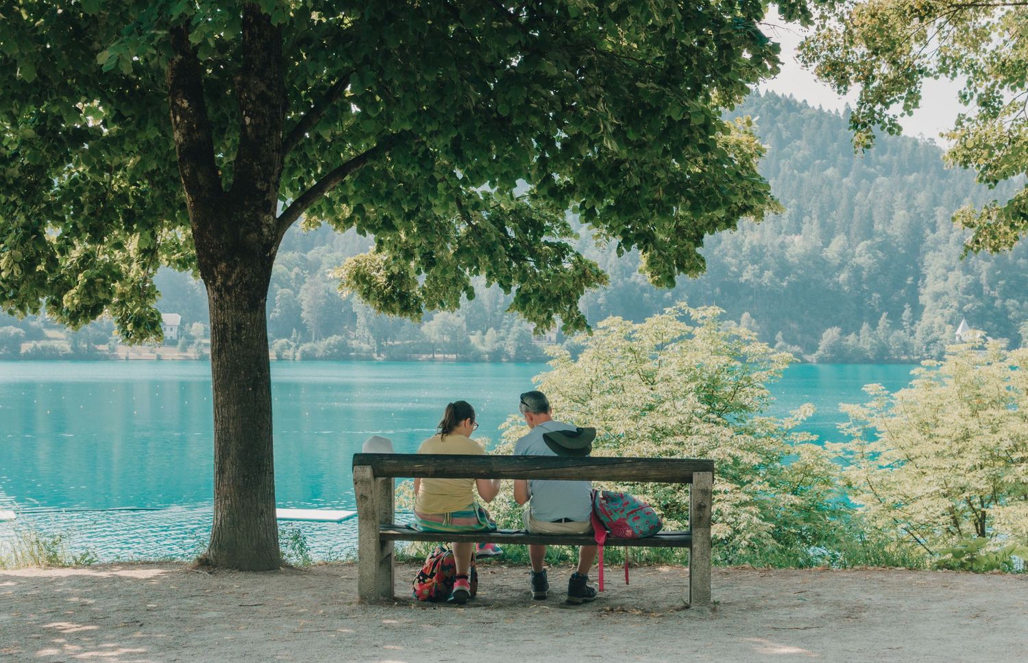 Two people sitting on a wooden bench under a large tree overlooking a stunning turquoise lake surrounded by lush forest.