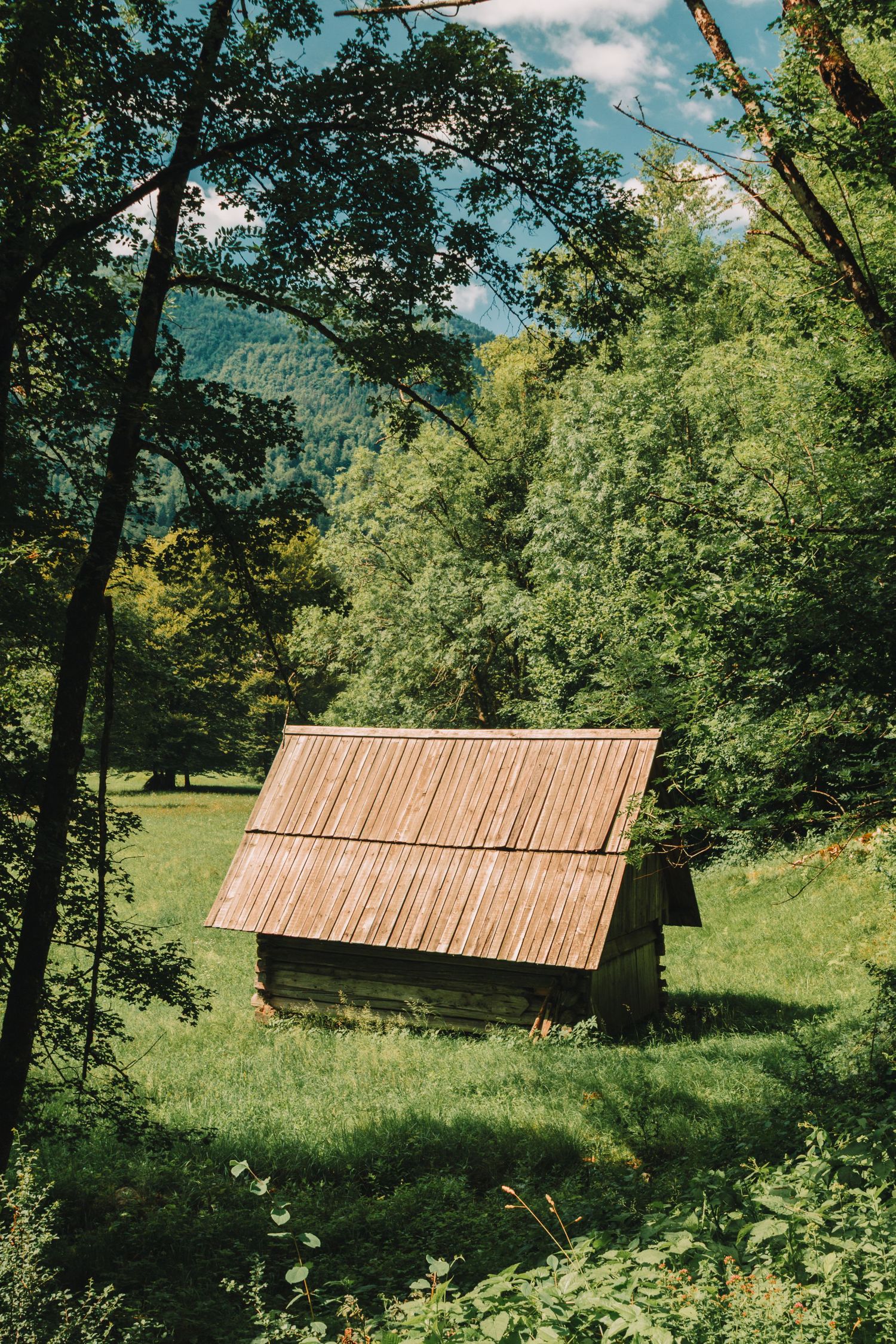 A rustic wooden cabin with a sloped roof sits in a lush green meadow surrounded by forest and mountain views.