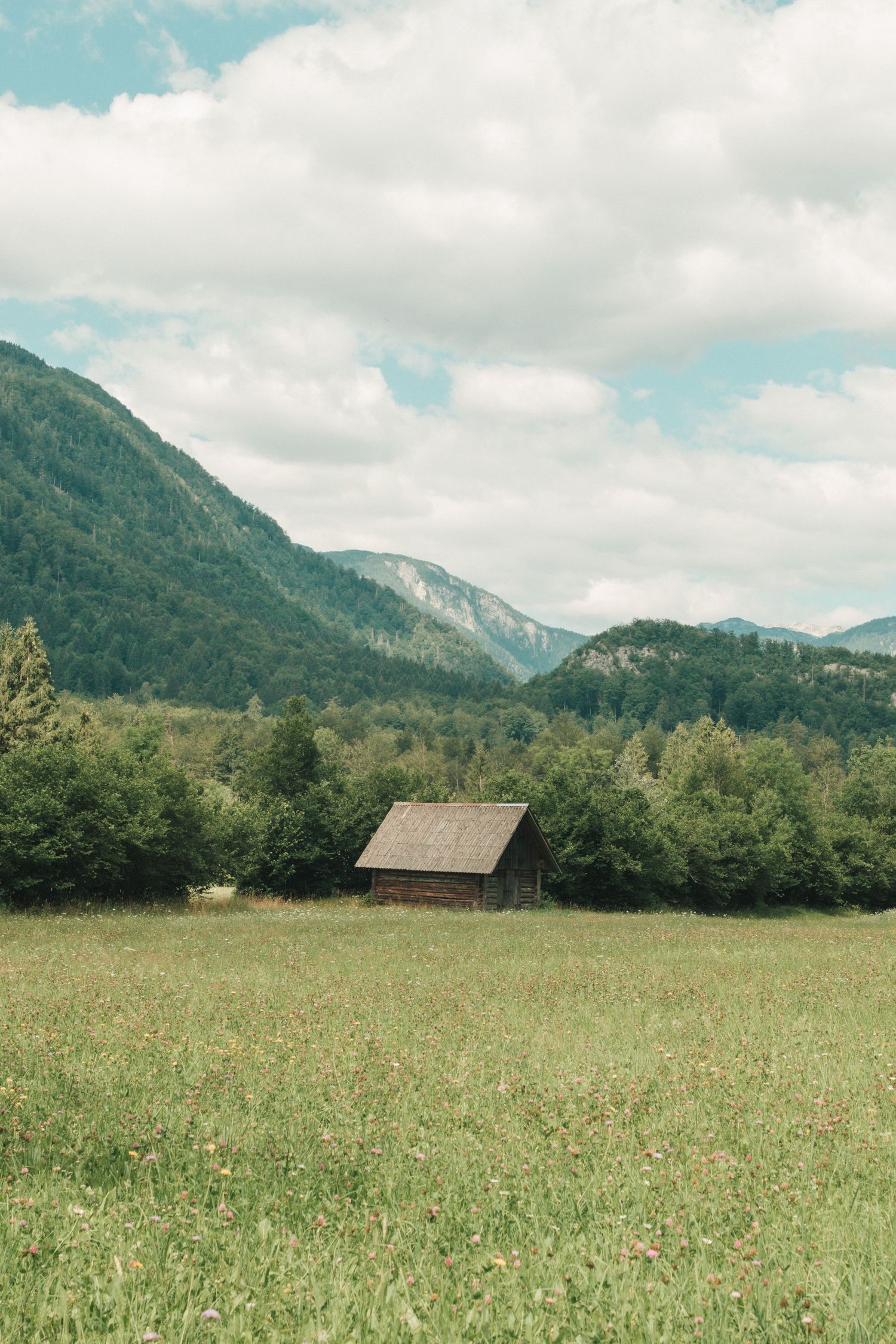 A rustic wooden cabin sits in a lush green meadow surrounded by dense forests and mountains under a cloudy sky.