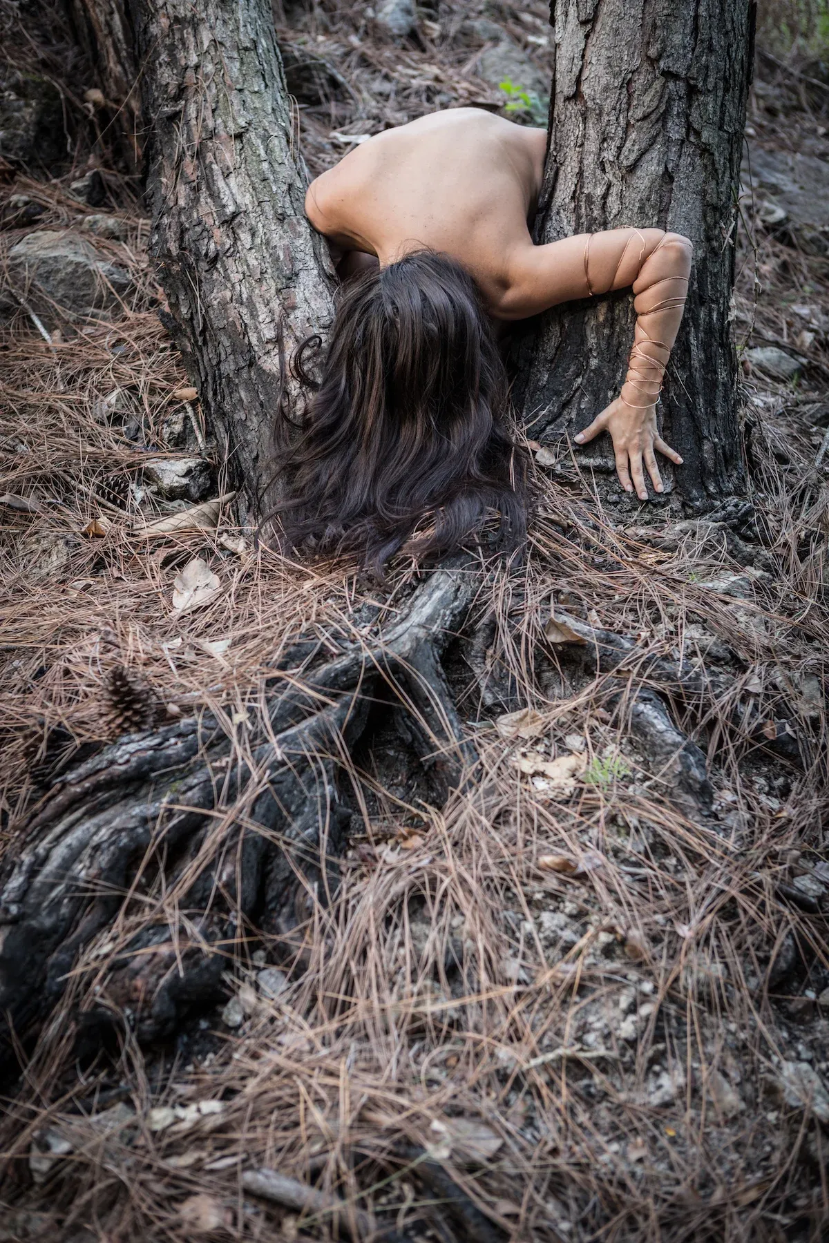 Artistic nature photography with fallen leaves and tree trunks in forest setting.
