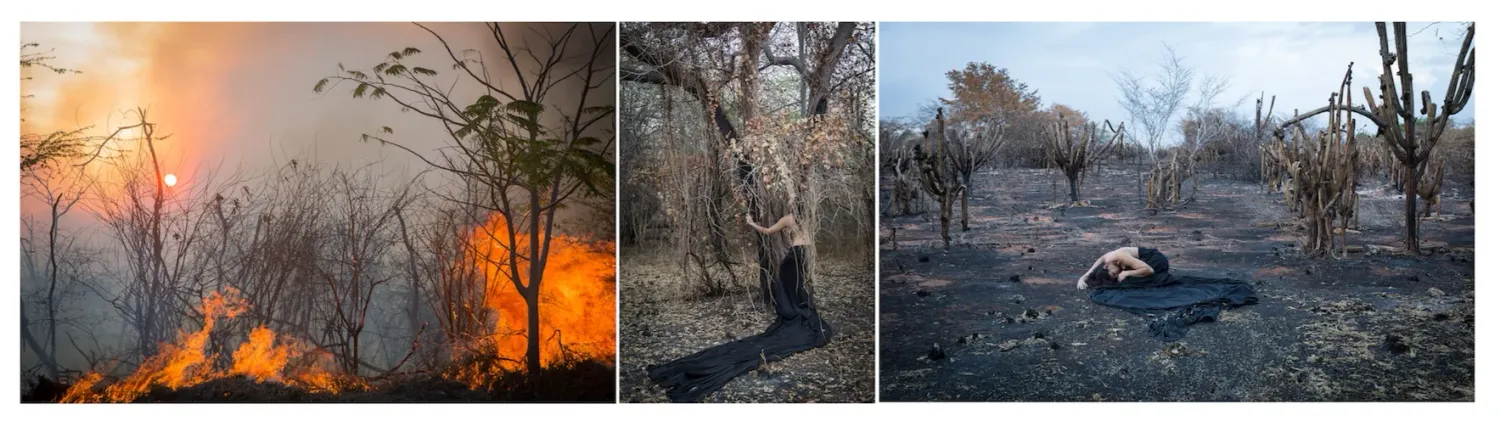 Dramatic wildfire scenes with orange skies and burning landscapes.