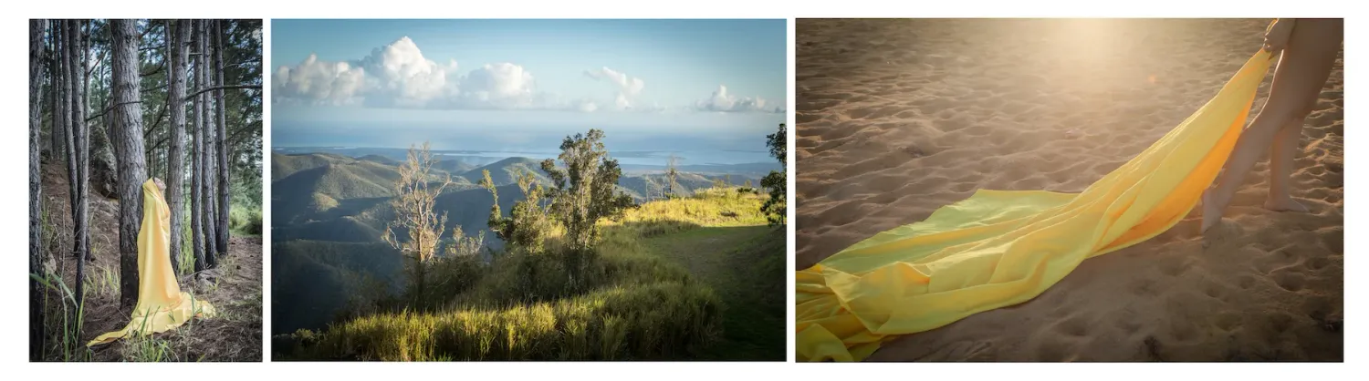Series of nature scenes featuring forests, roads, and mountain landscapes.