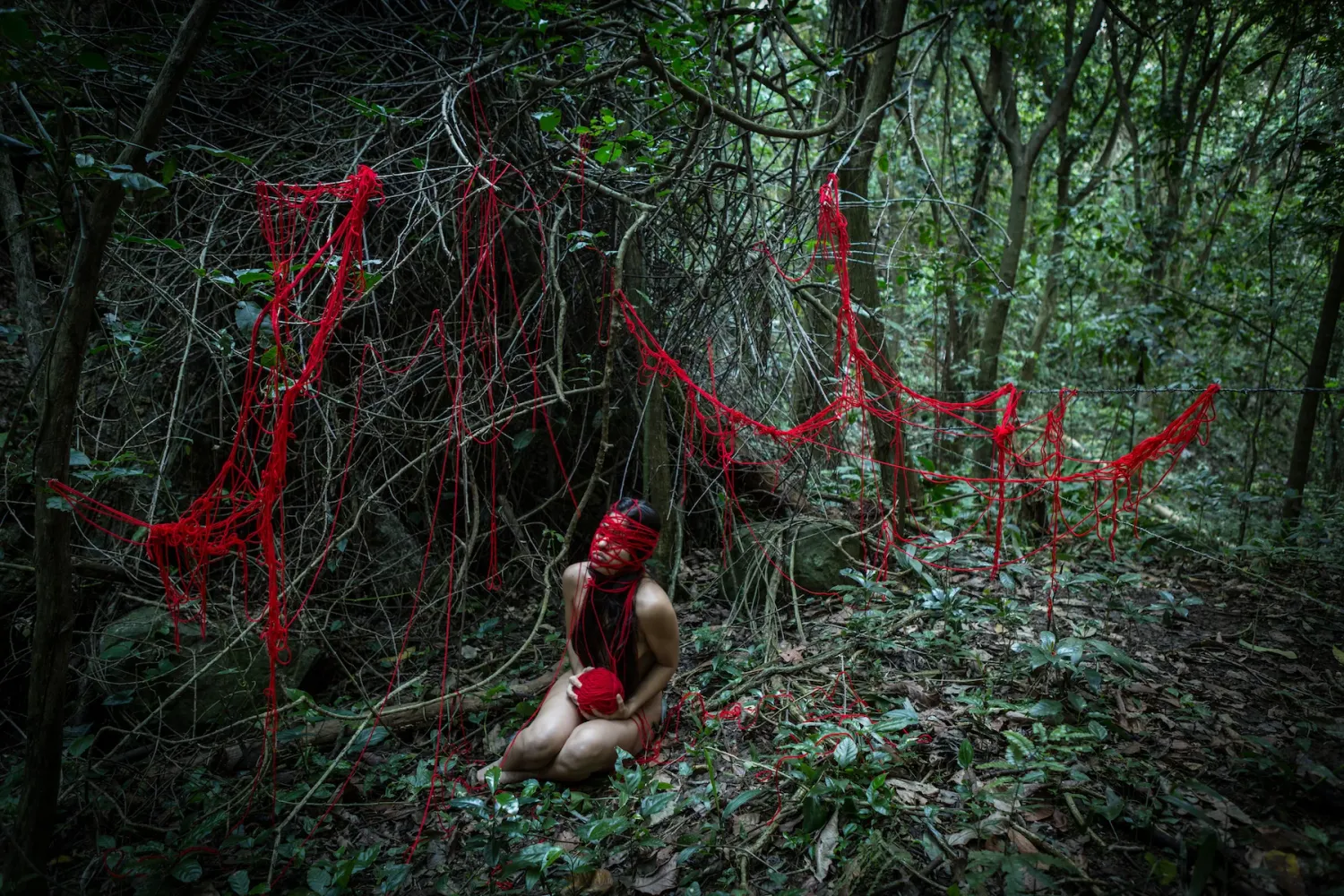Mystical forest scene with red accents and dark shadows creating an eerie atmosphere.