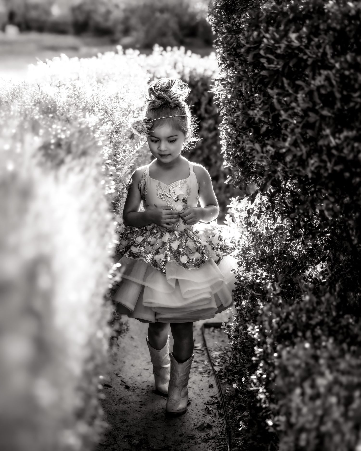 Black and white photo of a young girl in a ruffled dress walking through a narrow garden hedge pathway.