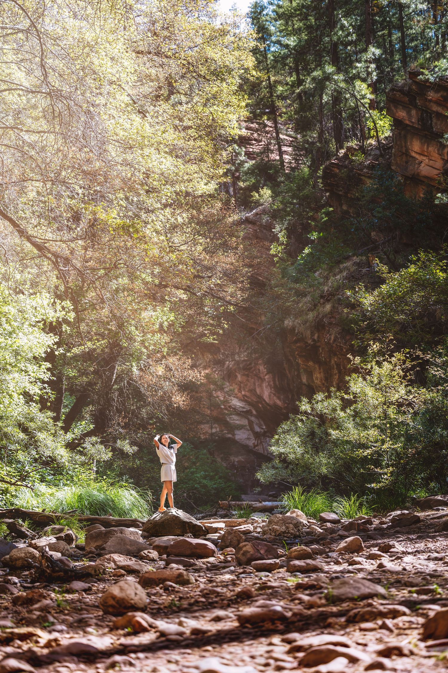 Woman standing on rocks in a sunlit canyon forest, surrounded by tall trees and red rock cliffs.