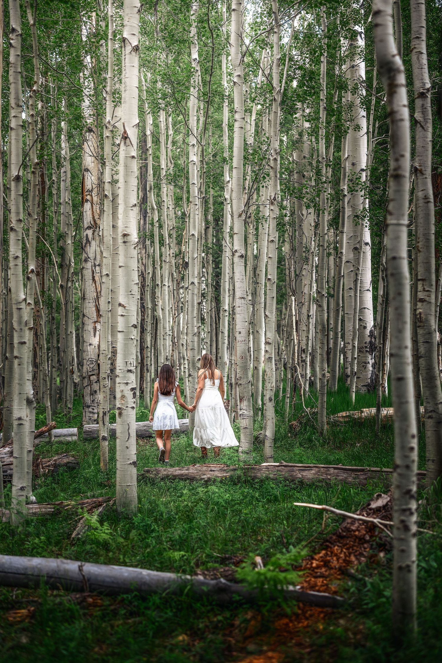 Two girls in white dresses walk hand in hand through a lush aspen forest with tall white-barked trees.
