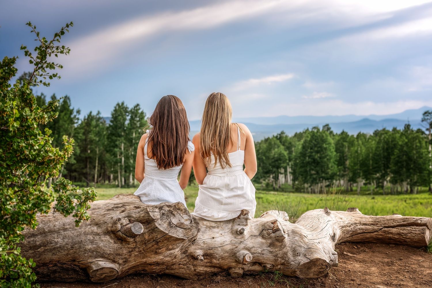 Two girls with long hair sit on a fallen log enjoying a scenic mountain and forest view on a cloudy day.