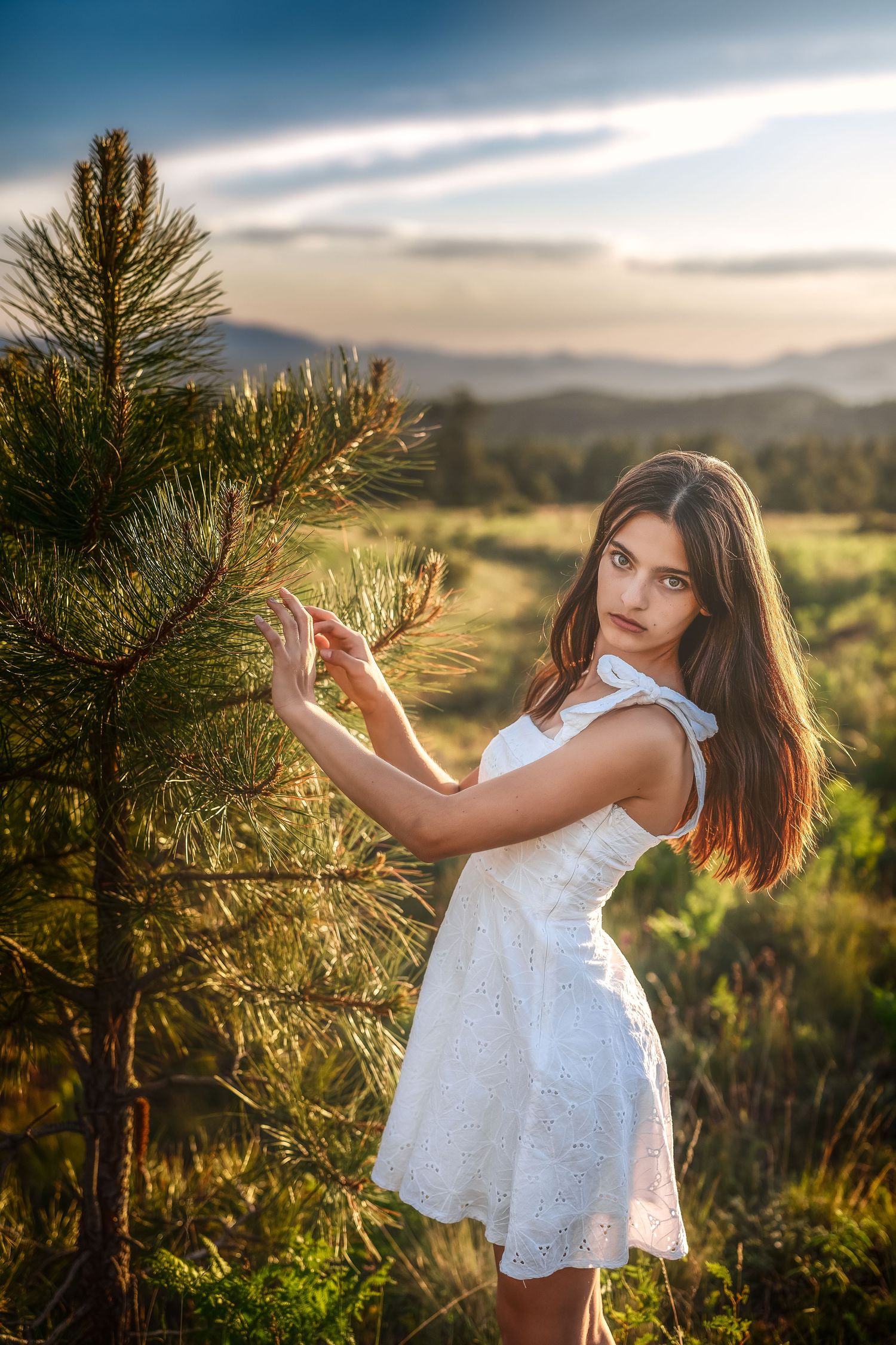 Brunette woman in white dress touching pine tree in sunlit meadow with mountain views.