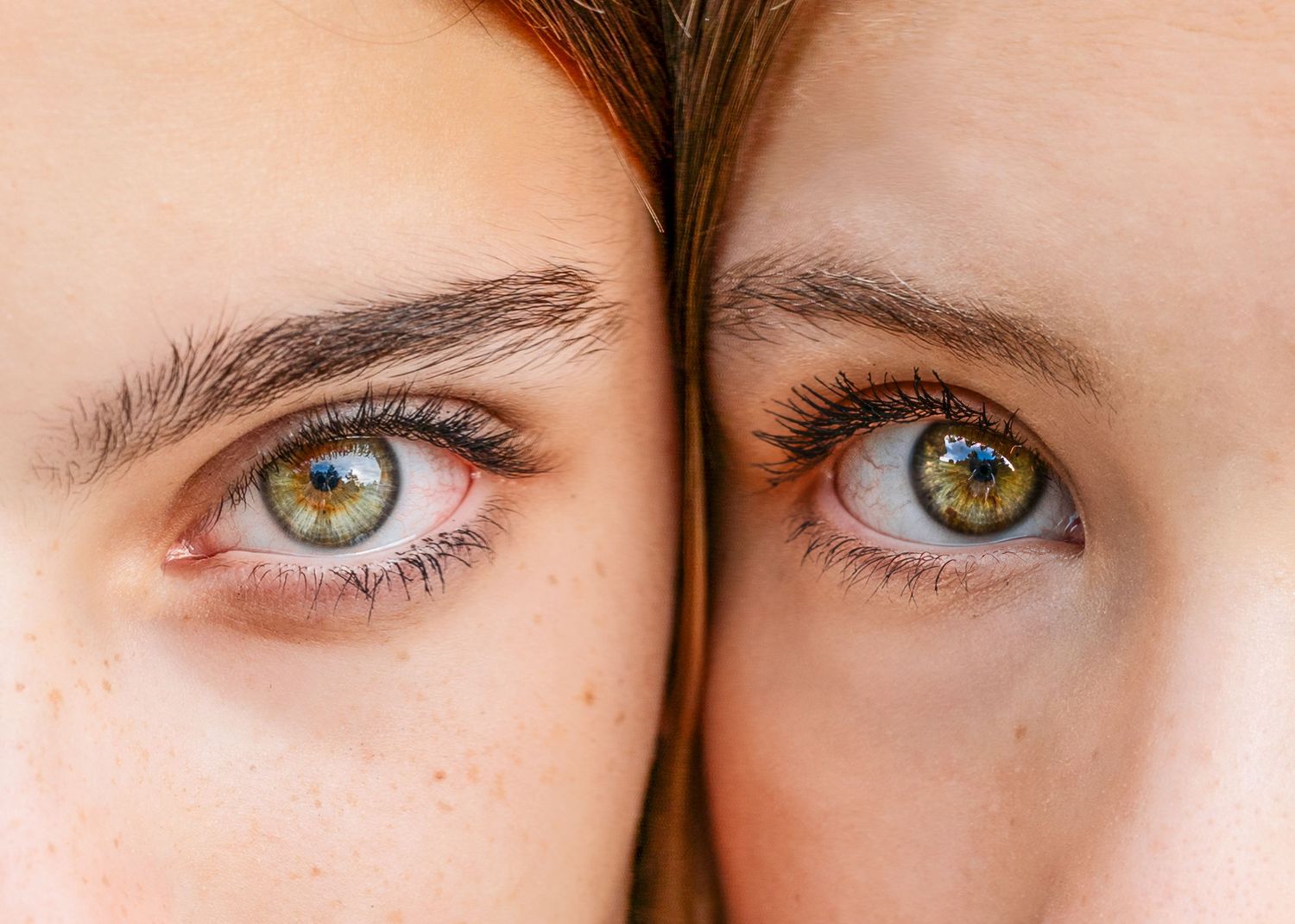 Close-up of two people with matching hazel eyes facing each other, showing similar eye color and brows.