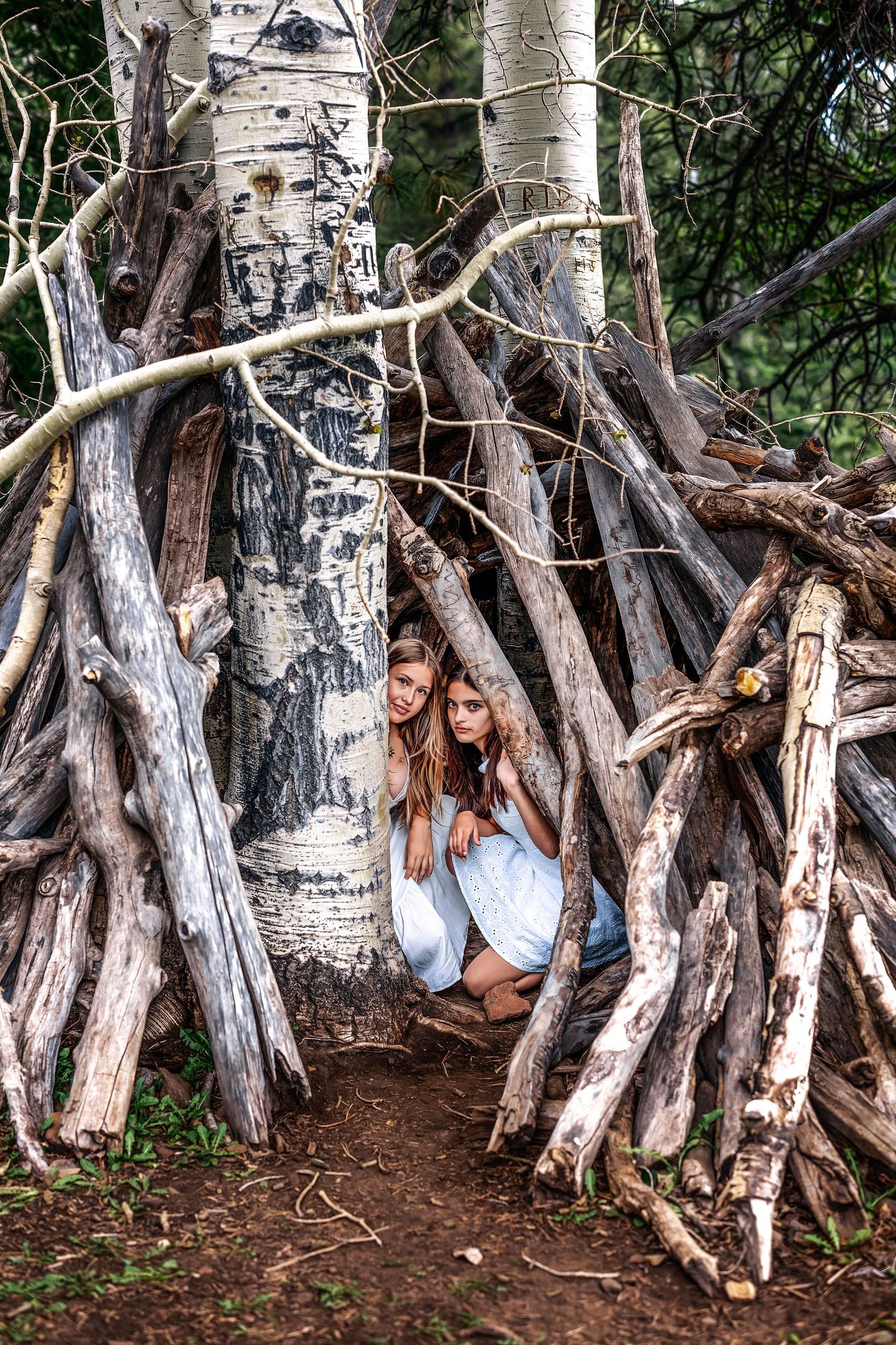 Two girls peek out from a rustic woodland fort made of stacked branches and logs leaning against birch trees.