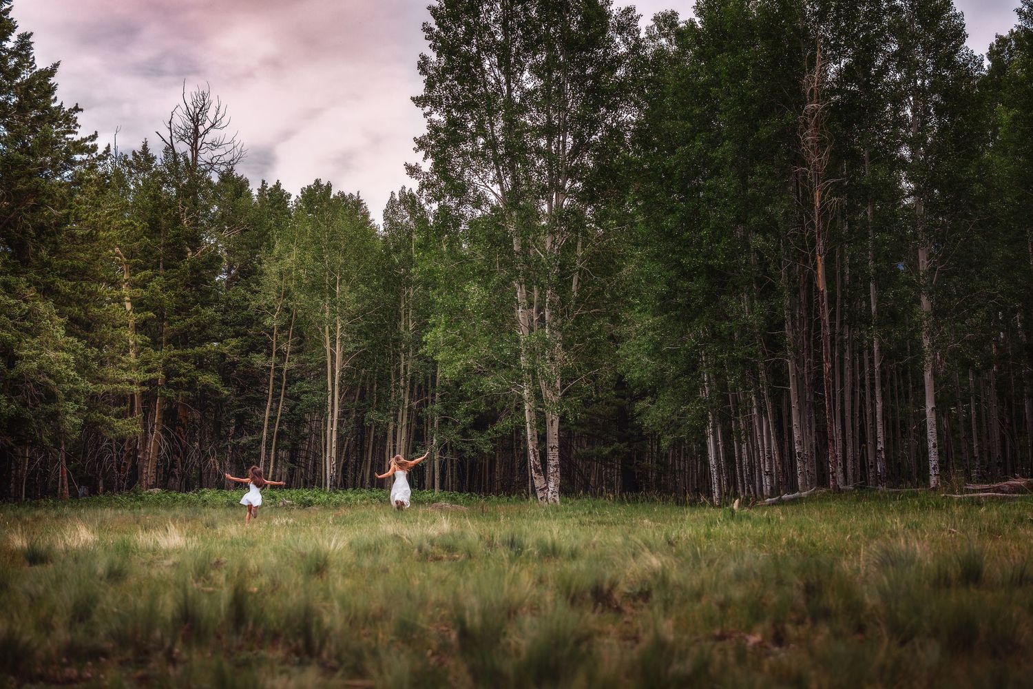 Two people in white dresses dance joyfully in a lush green meadow surrounded by tall pine and birch trees under a cloudy sky.