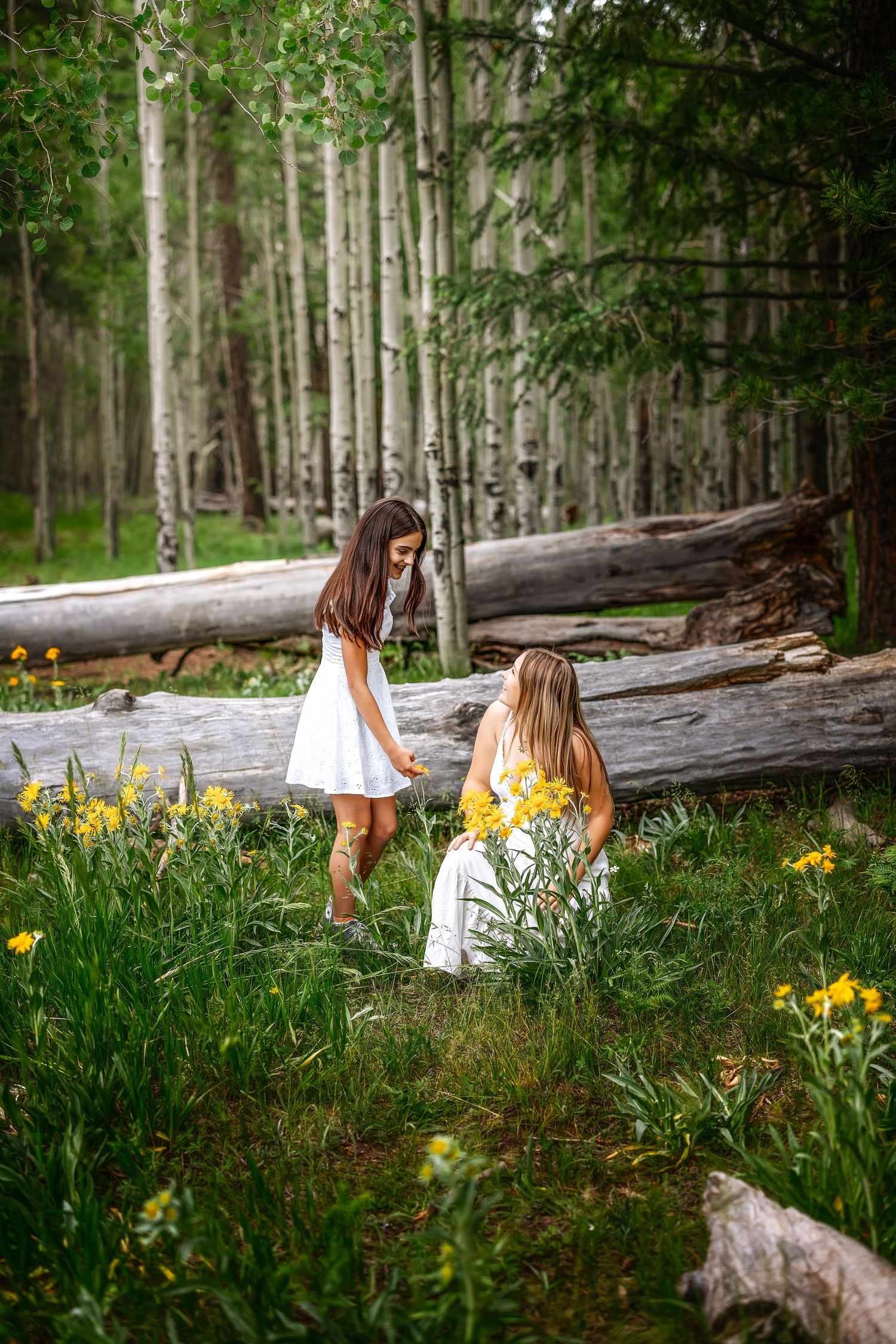 Two girls in white dresses picking yellow wildflowers in a lush aspen forest with fallen logs.