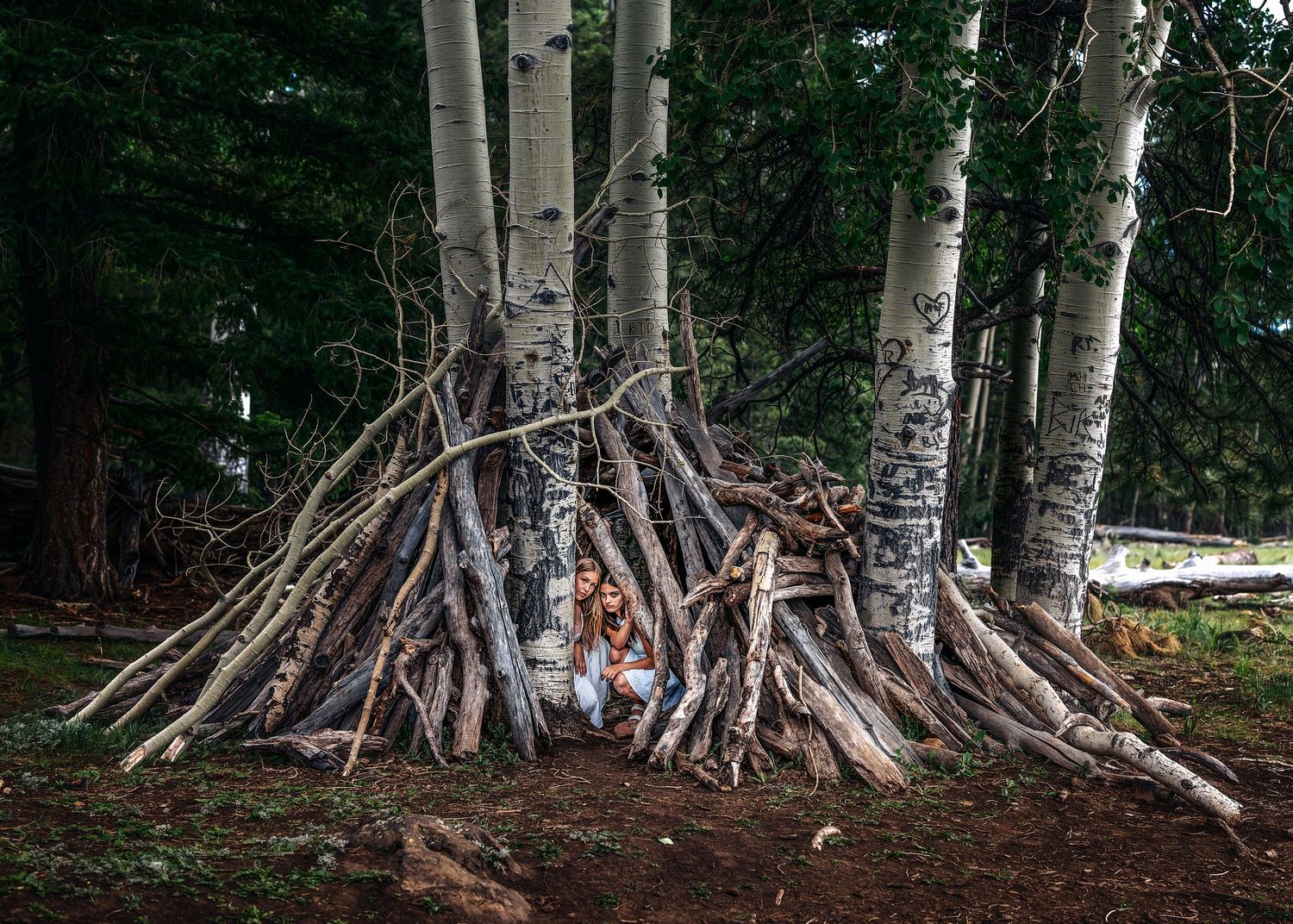 Child sitting inside a rustic lean-to shelter built from branches against white birch trees in a forest.