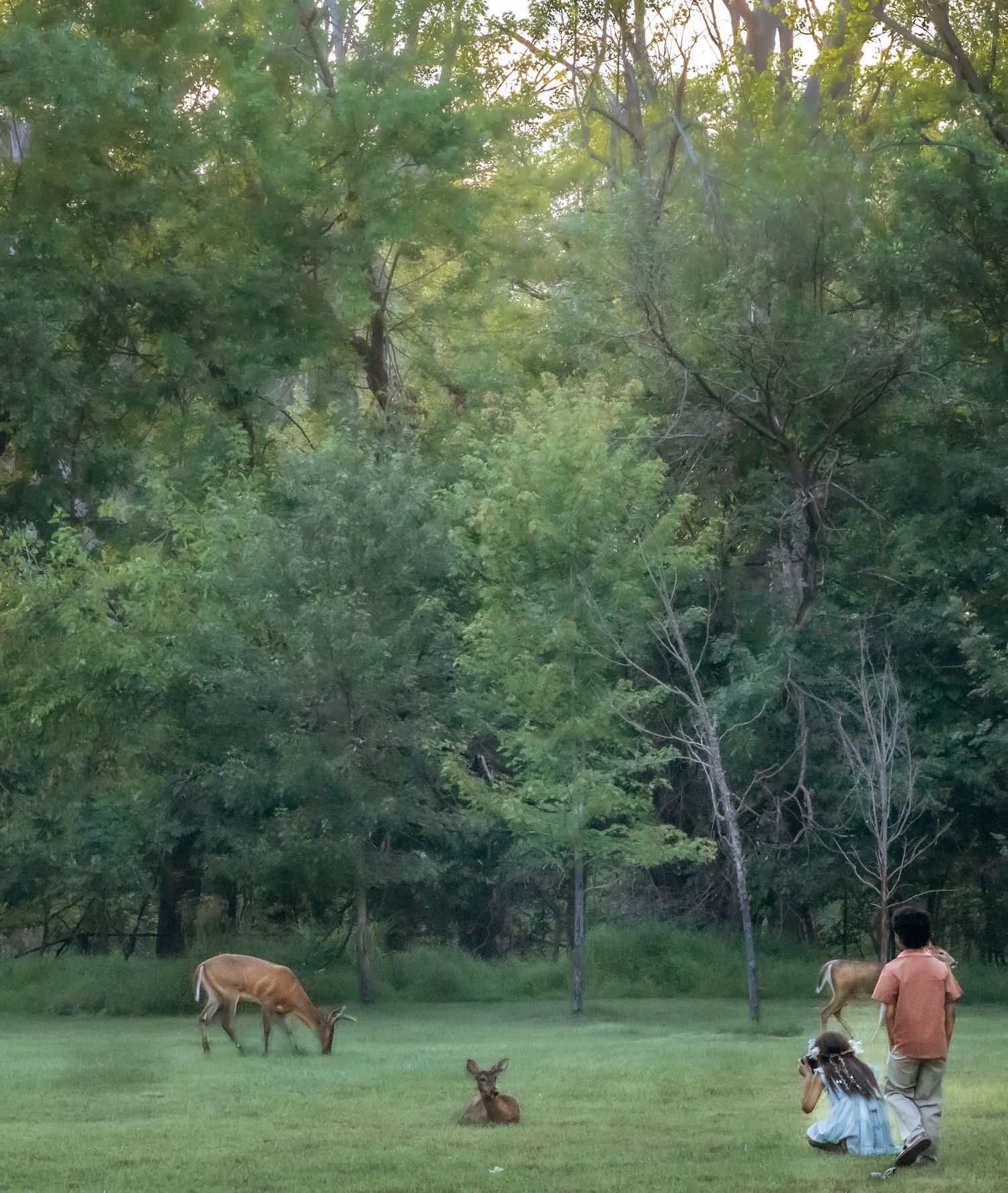 children taking photos of two deer