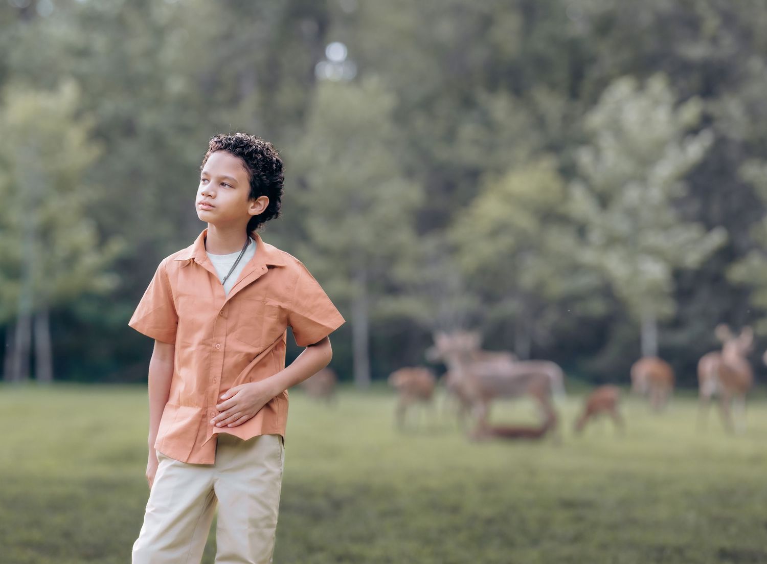 boy looks off into distance while a herd of deer stand behind him