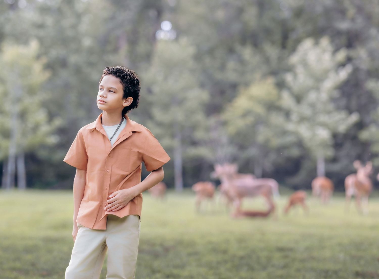 boy in orange collared shirt looks off into the distance with a family of deer grazing in the background of a deep forest