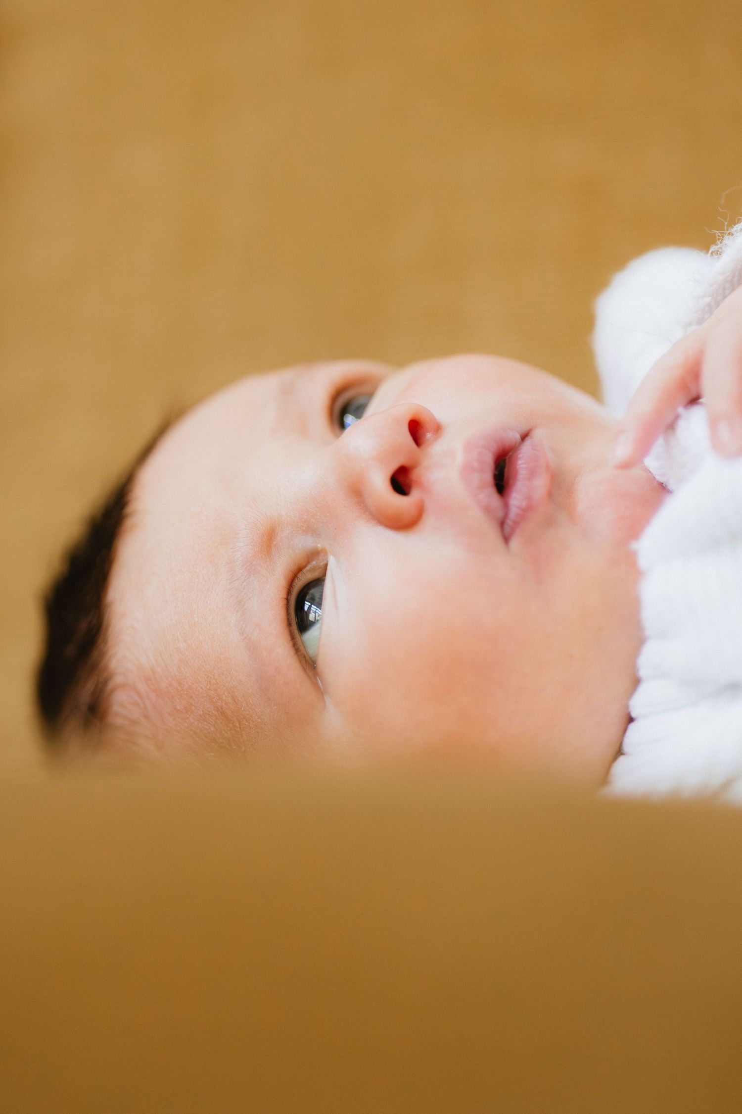 A baby wrapped in white fabric gazes upward with wide eyes against a golden background.